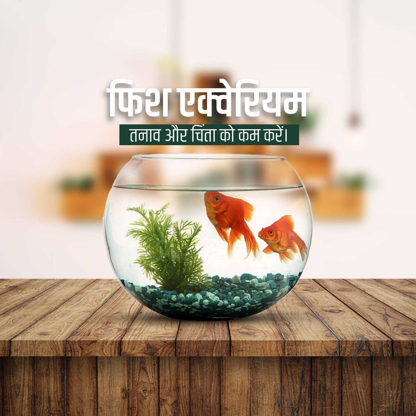 Pet Supplies And Services पोस्टर 104