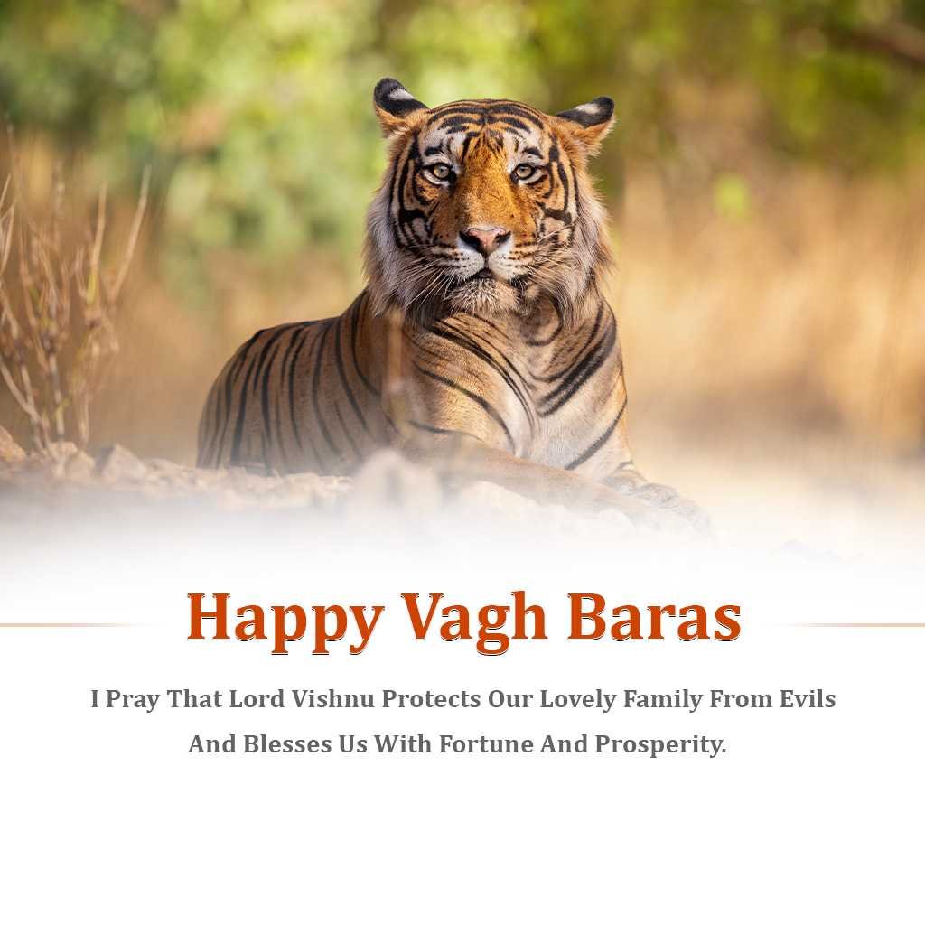 Vagh Baras पोस्टर 41