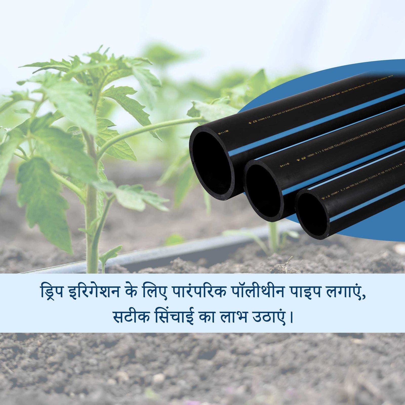 Agriculture poster 468