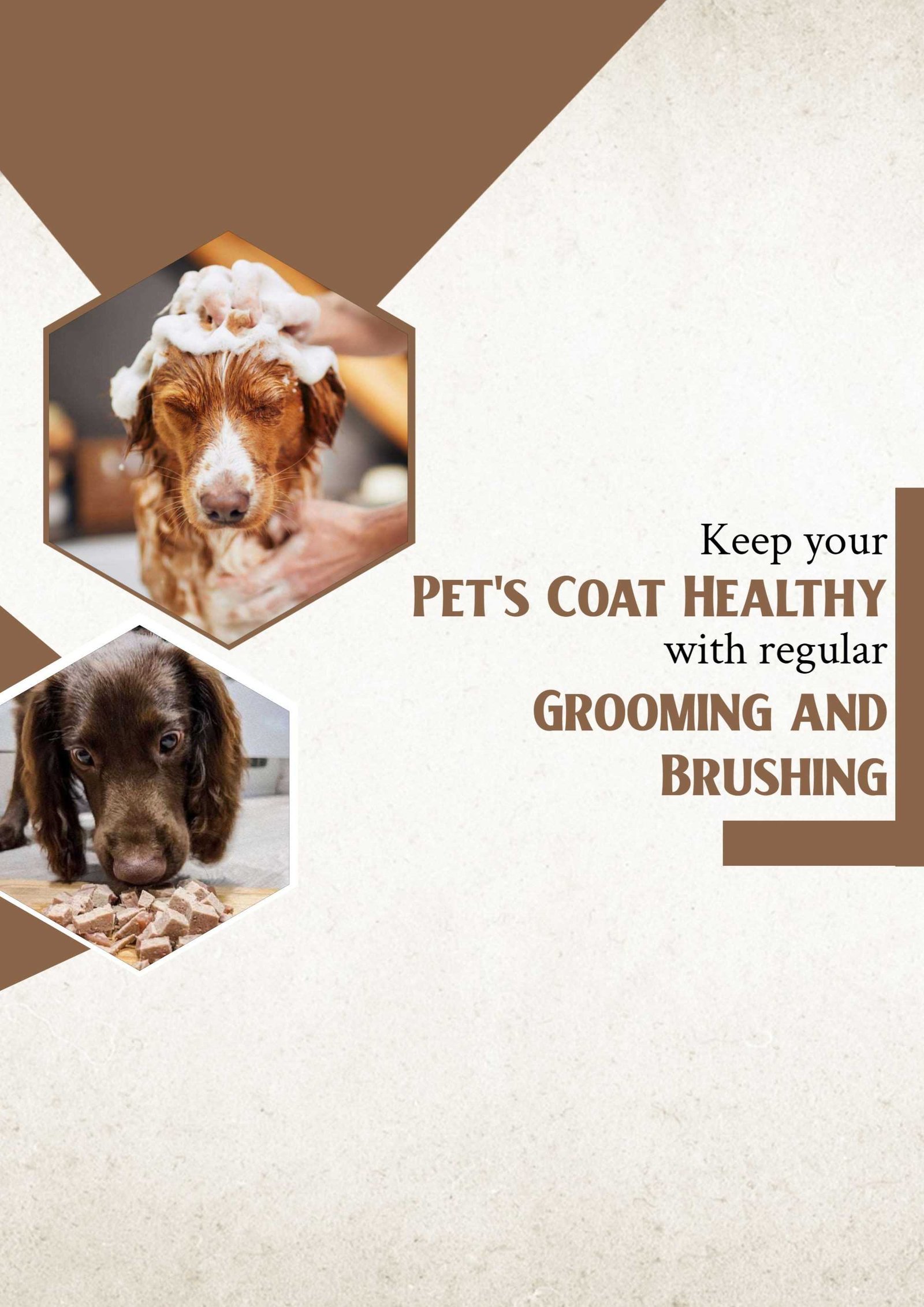 Pet Supplies And Services पोस्टर 97