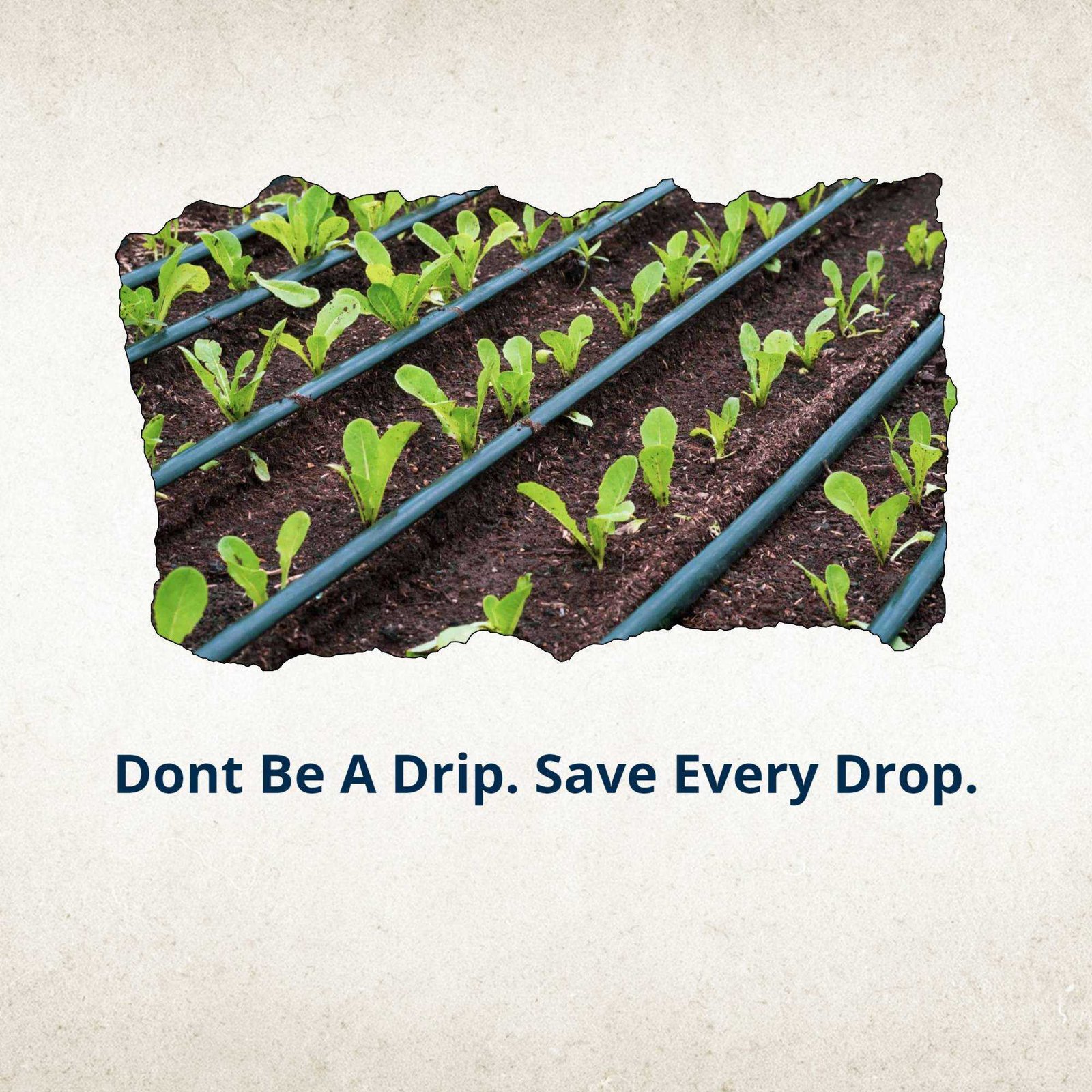 Agriculture poster 479