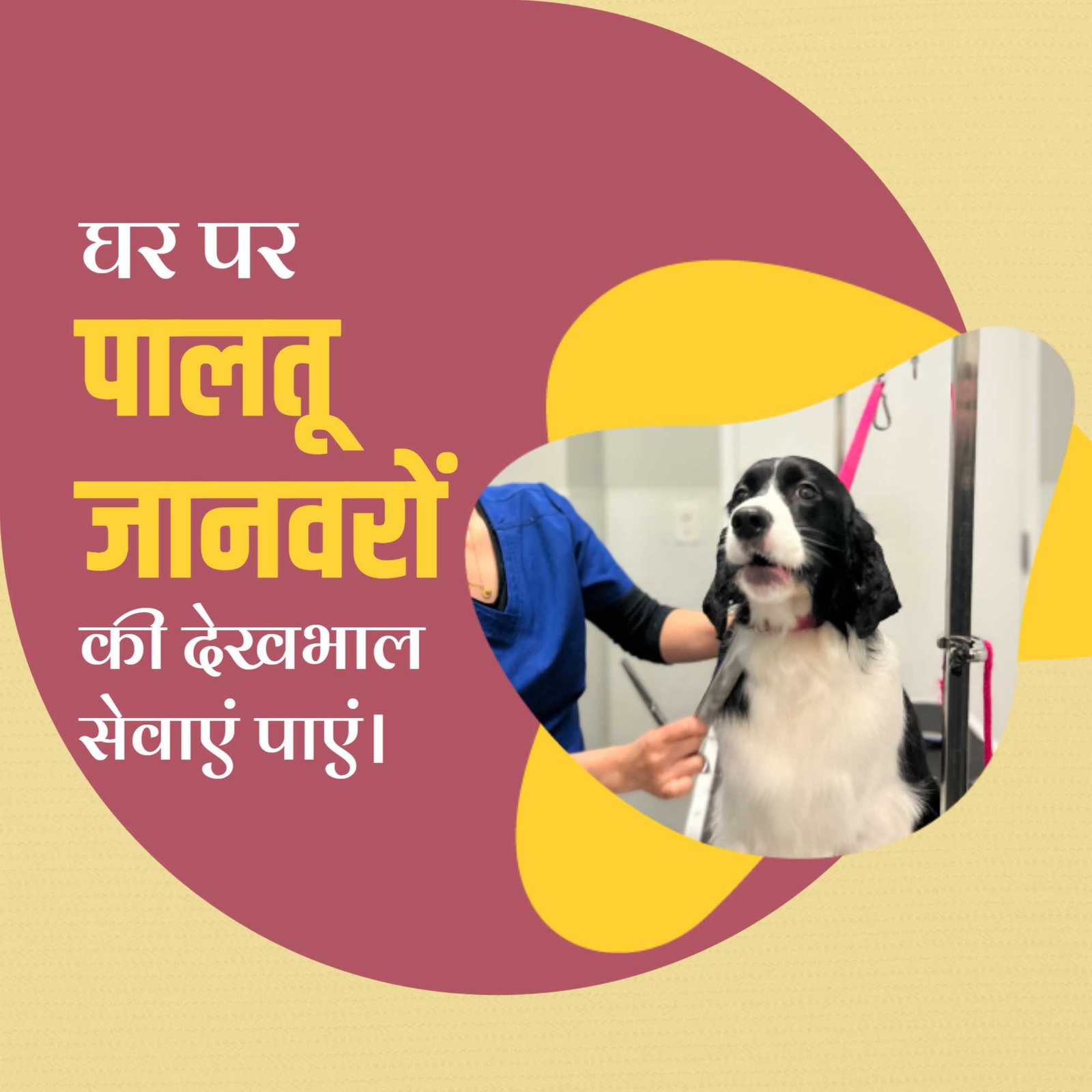Pet Supplies And Services पोस्टर 101