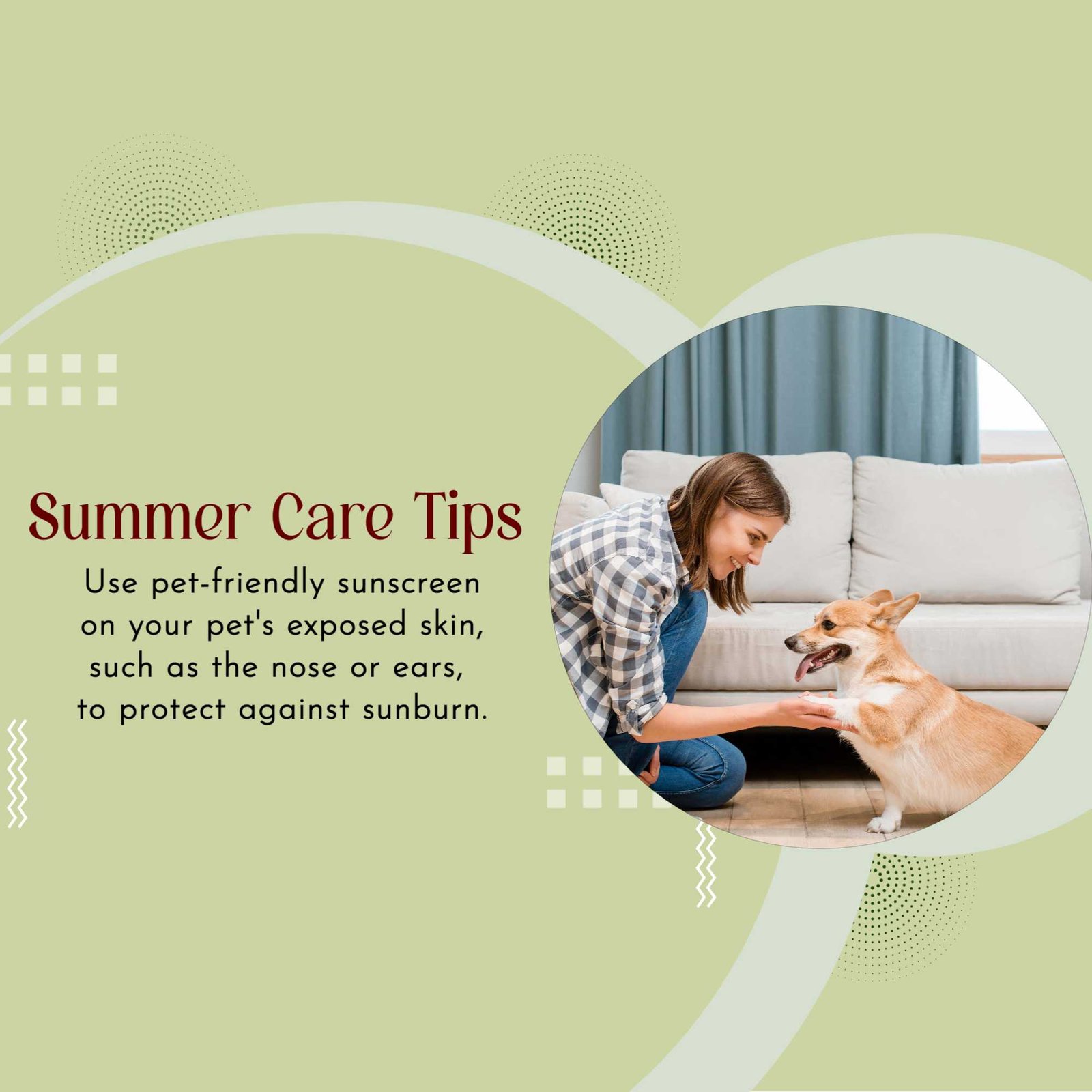 Pet Supplies And Services पोस्टर 93