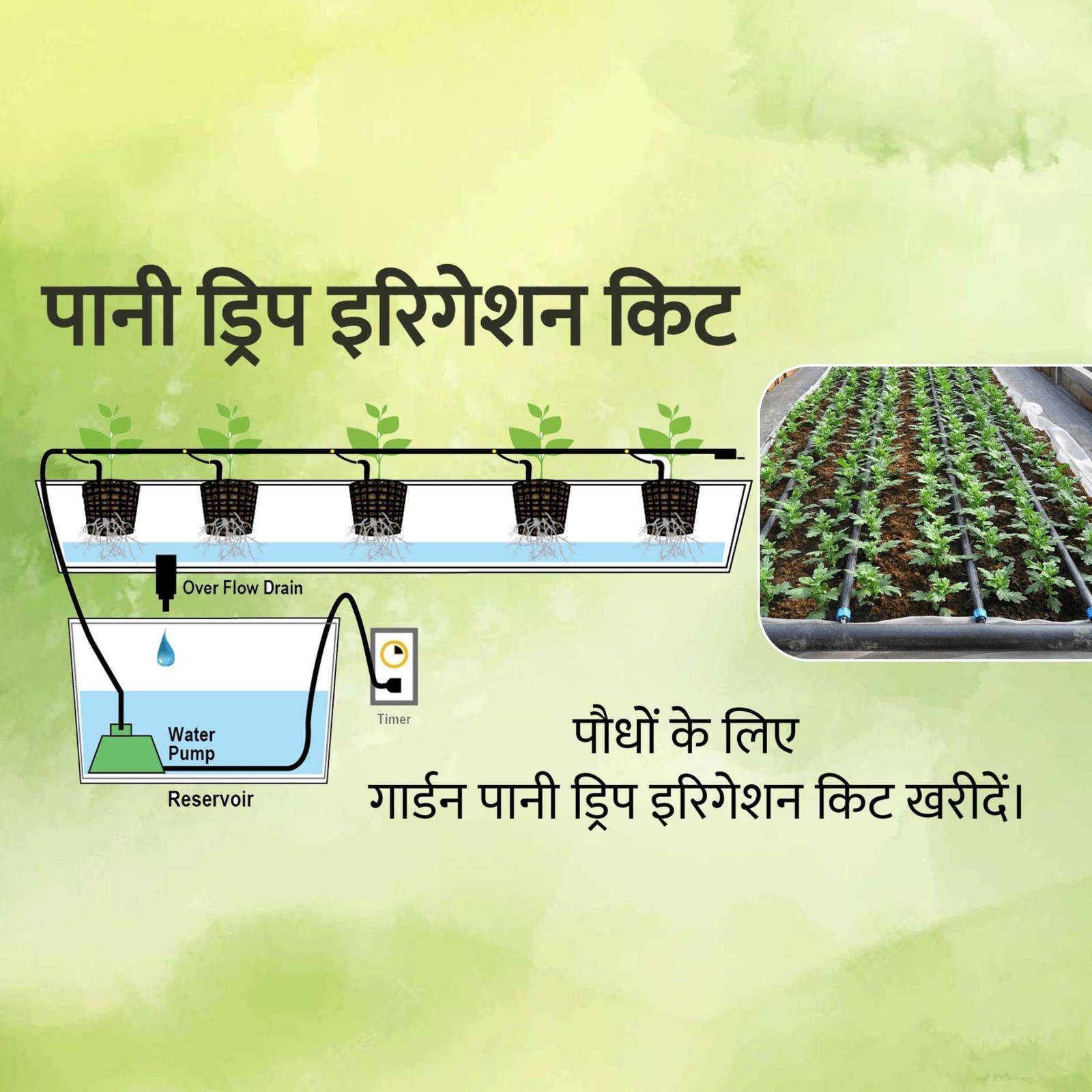 Agriculture poster 465