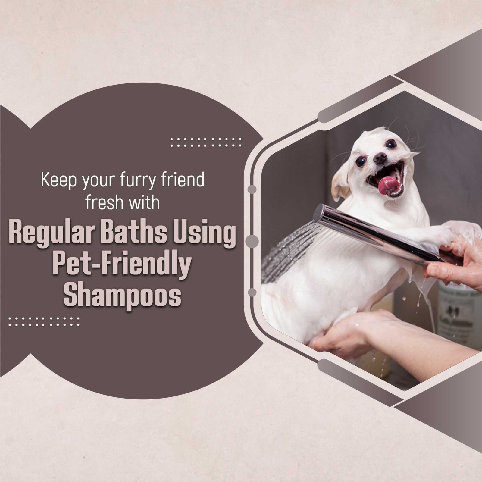 Pet Supplies And Services पोस्टर 87