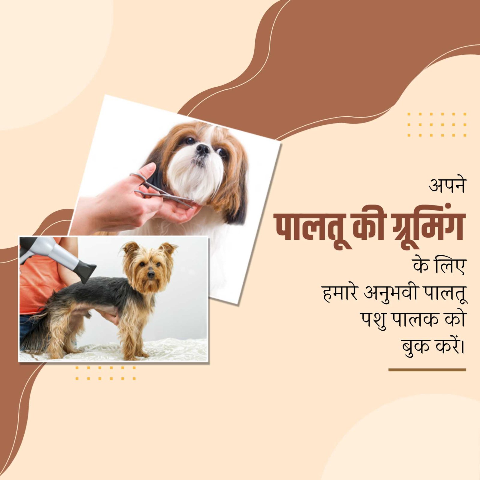 Pet Supplies And Services पोस्टर 99