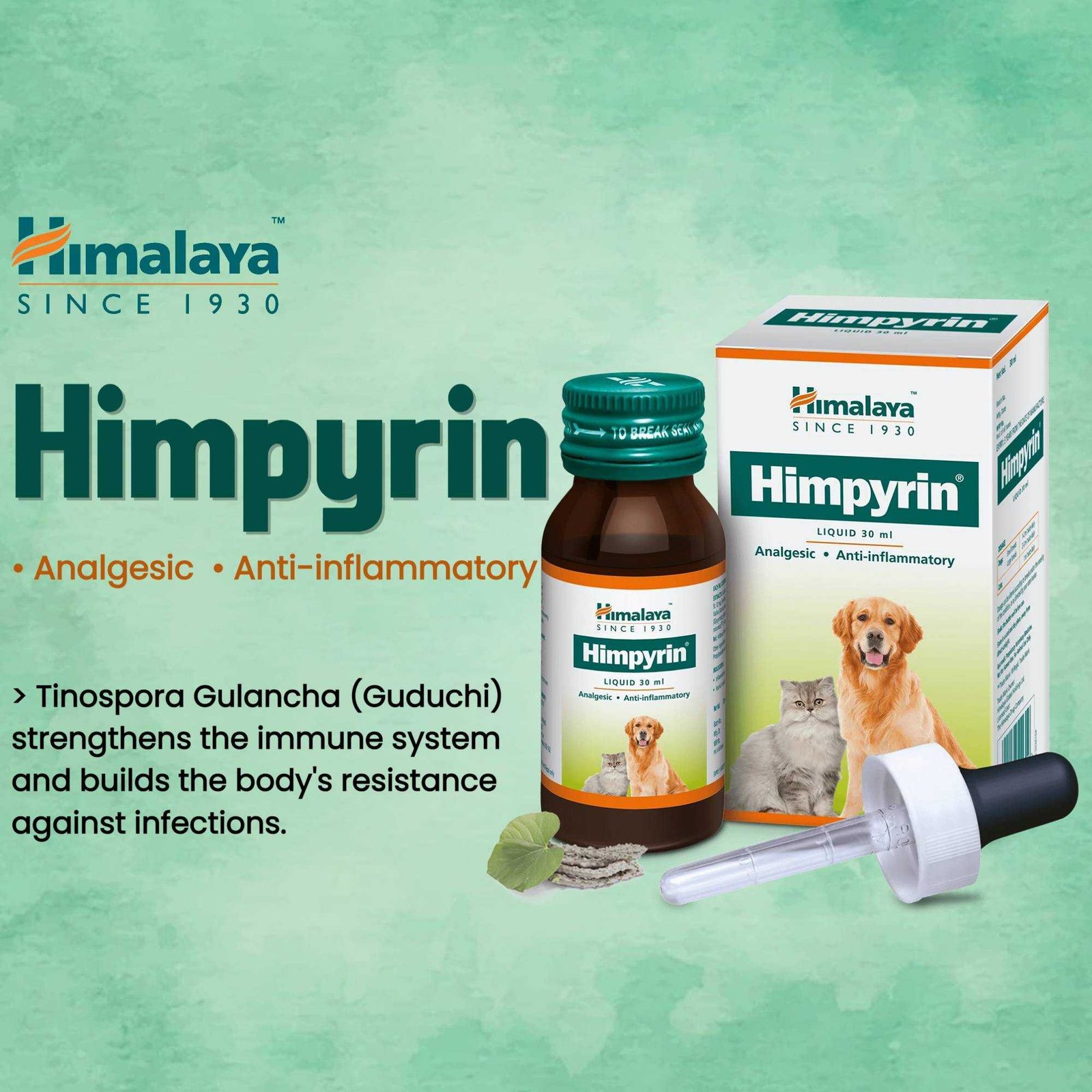 Pet Supplies And Services पोस्टर 55