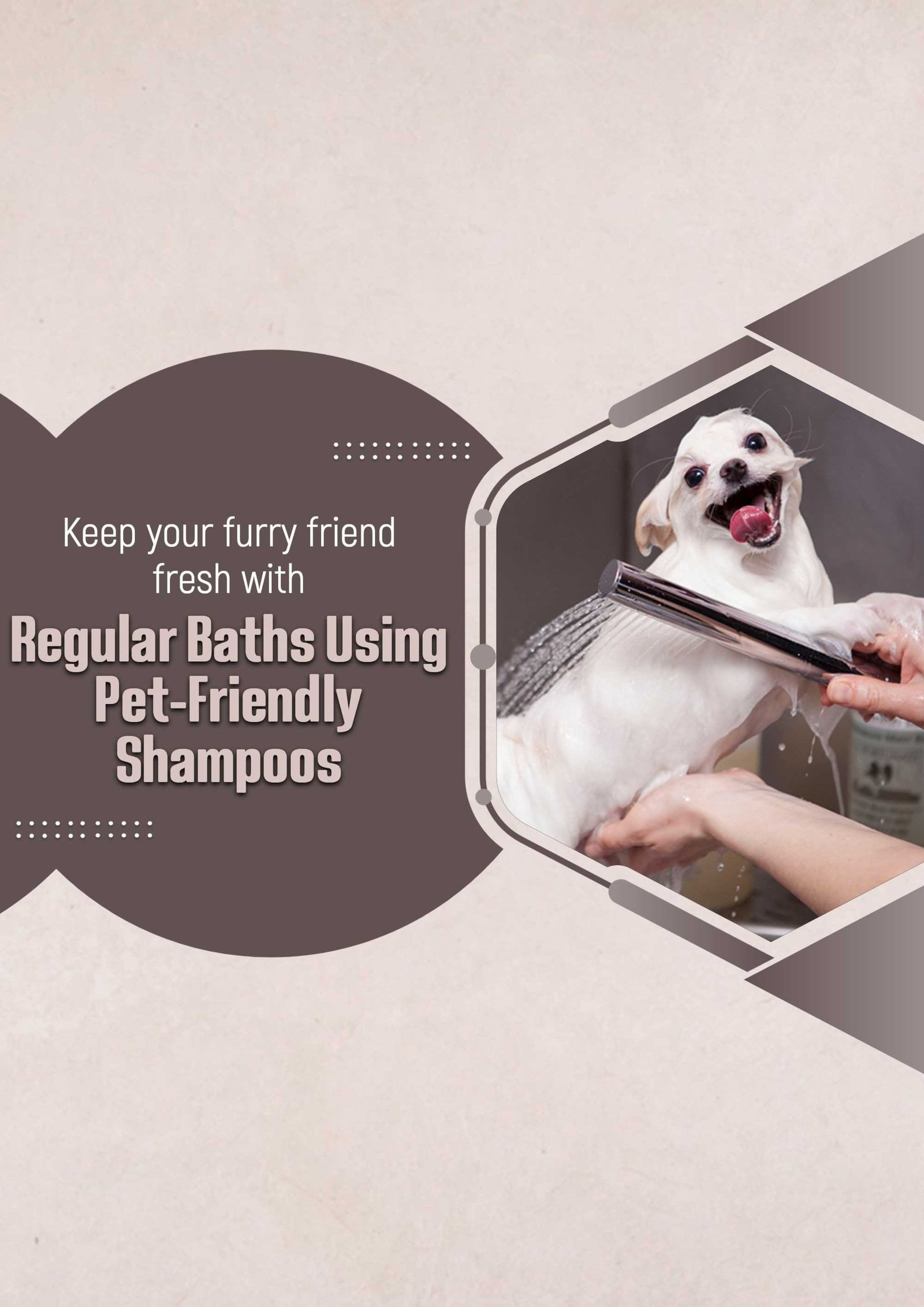 Pet Supplies And Services पोस्टर 98