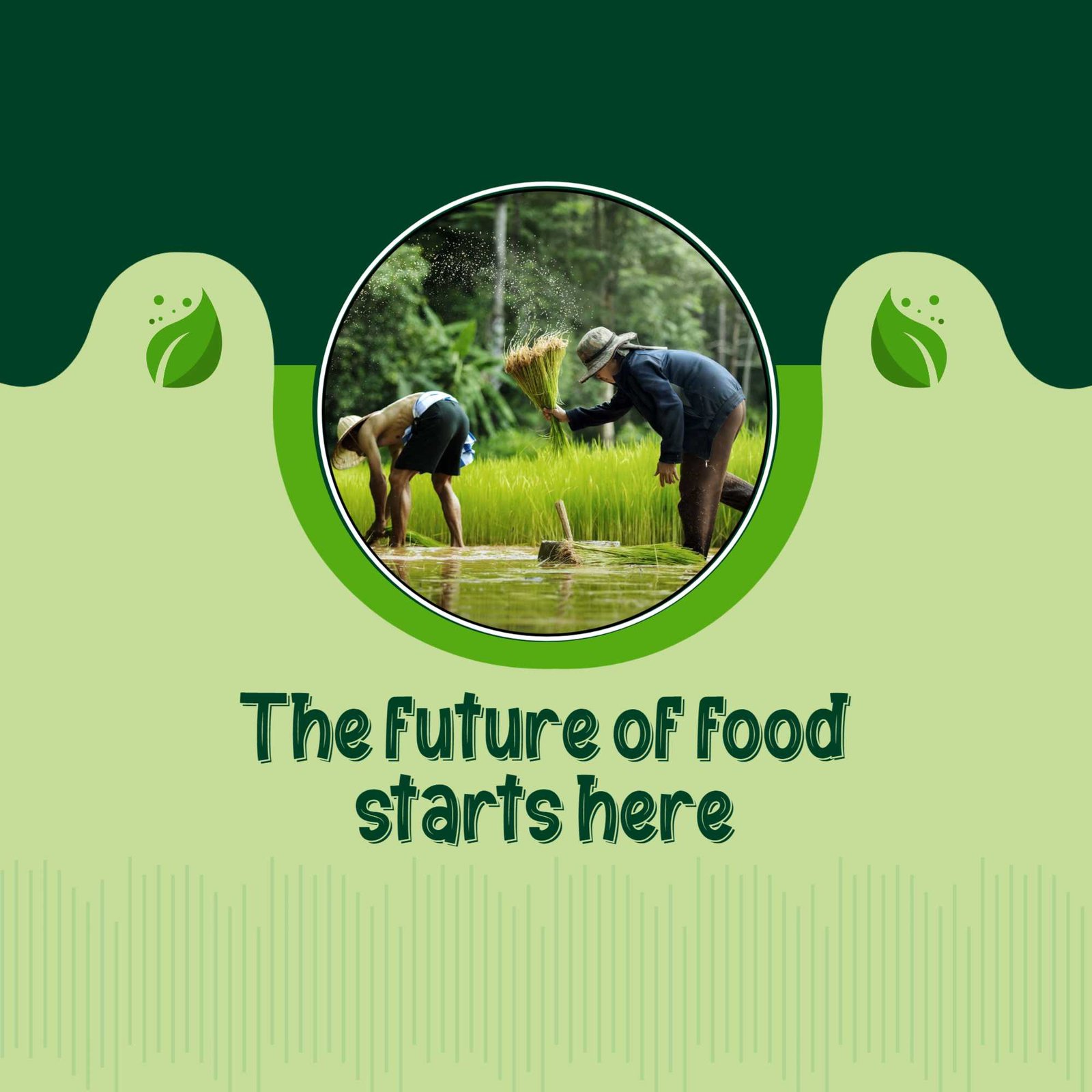 Agriculture poster 306