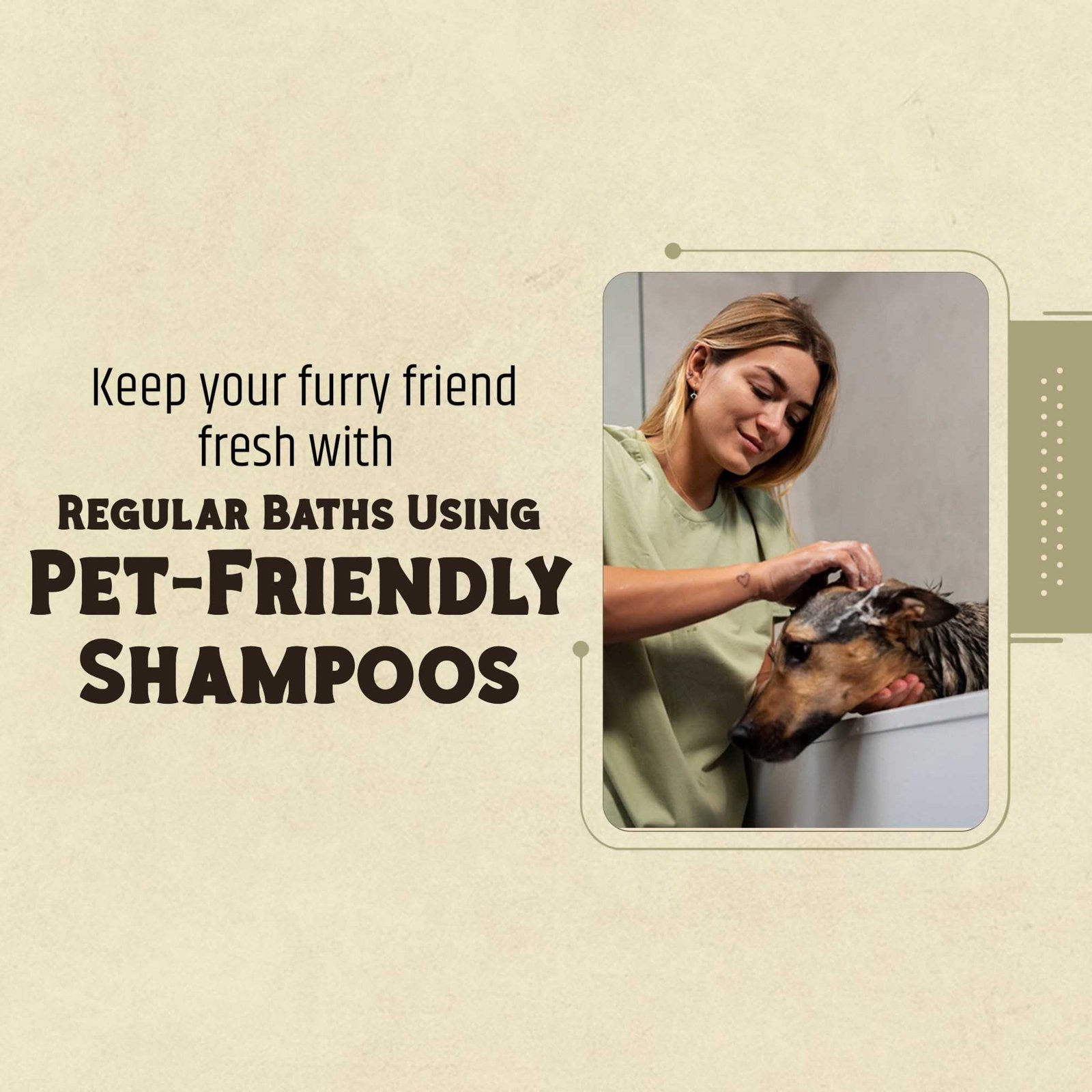 Pet Supplies And Services पोस्टर 86