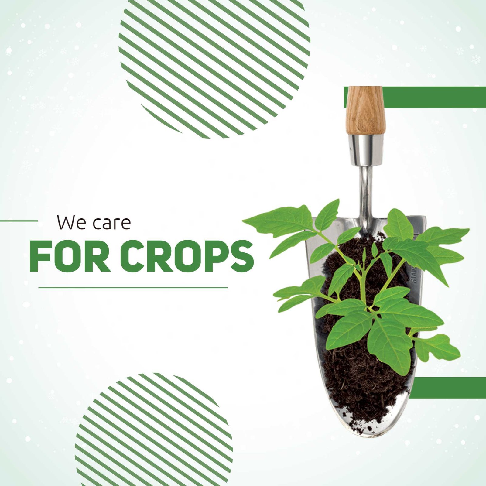 Agriculture poster 460