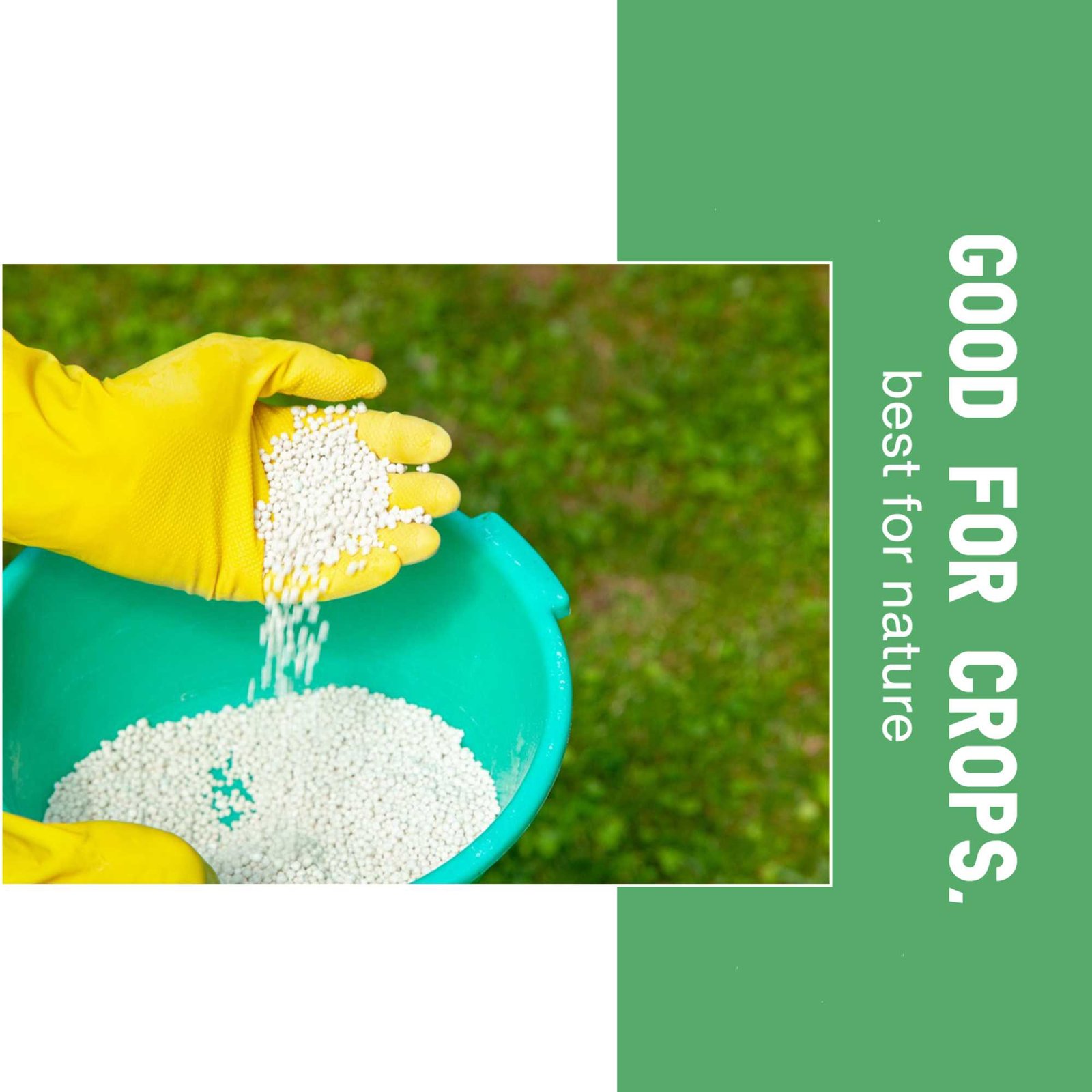 Agriculture poster 426
