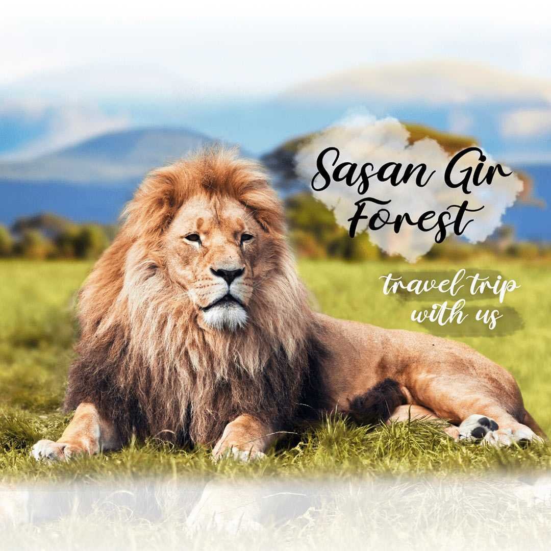 Tours And Travels poster 156