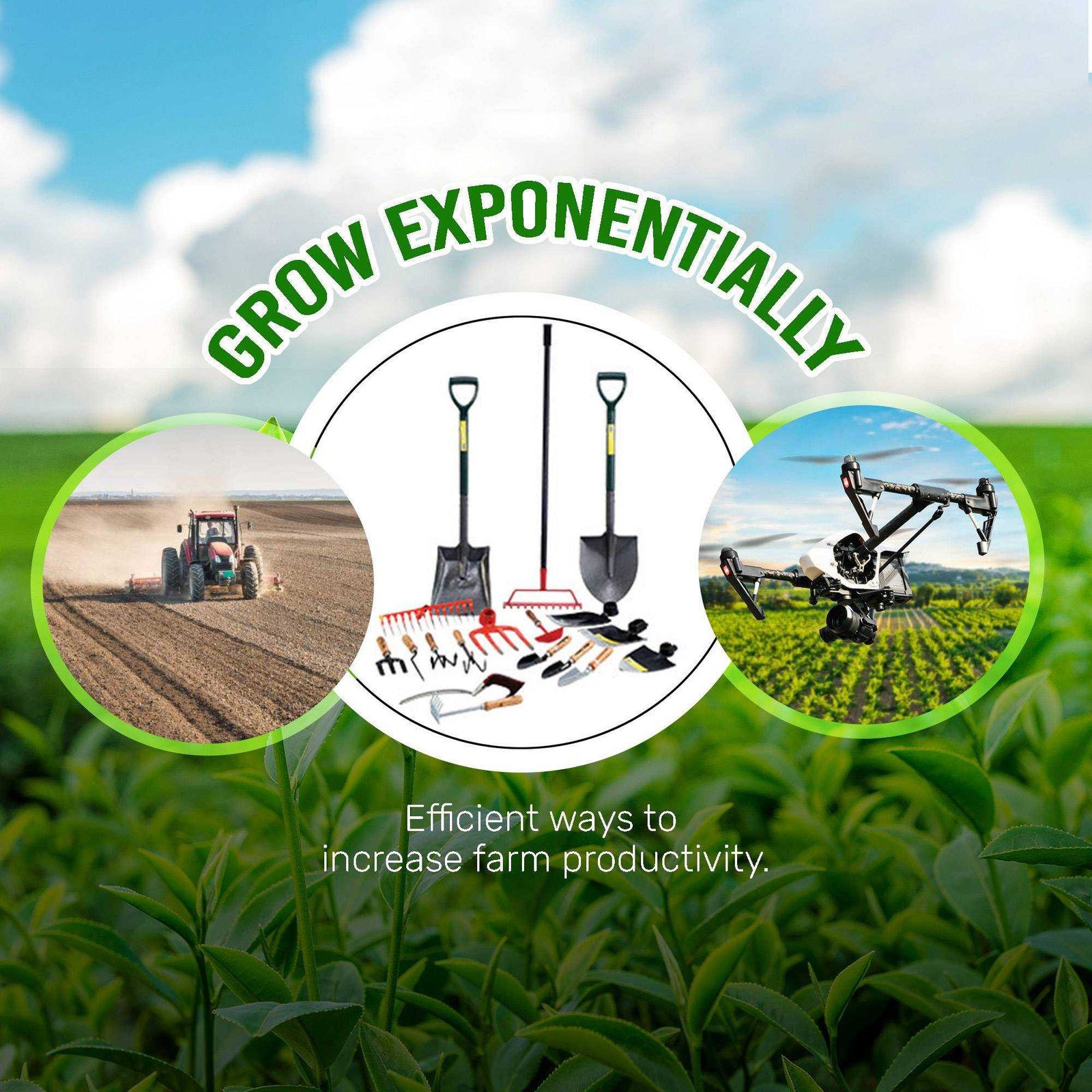 Agriculture poster 68