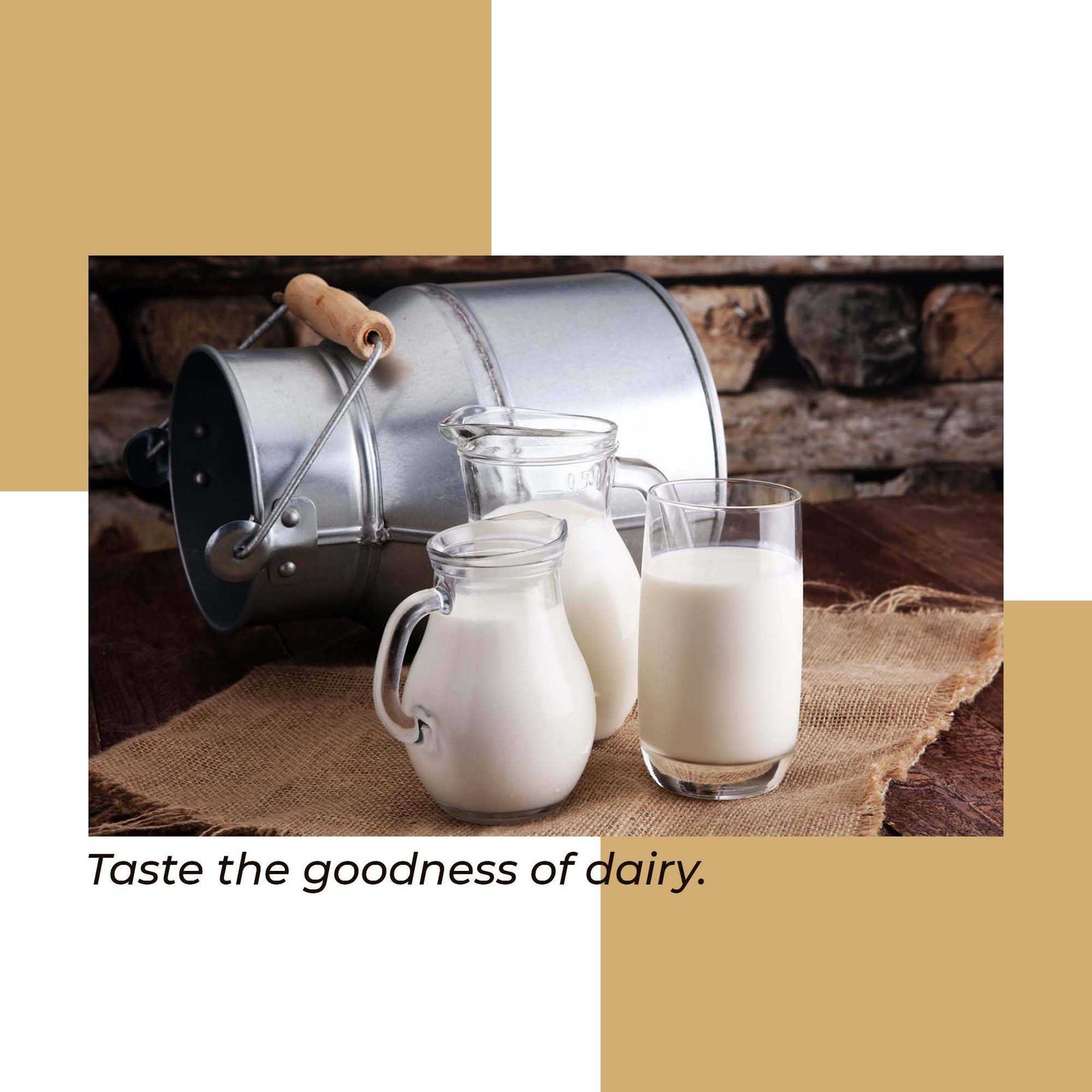 Dairy Shop & Milk पोस्टर 46