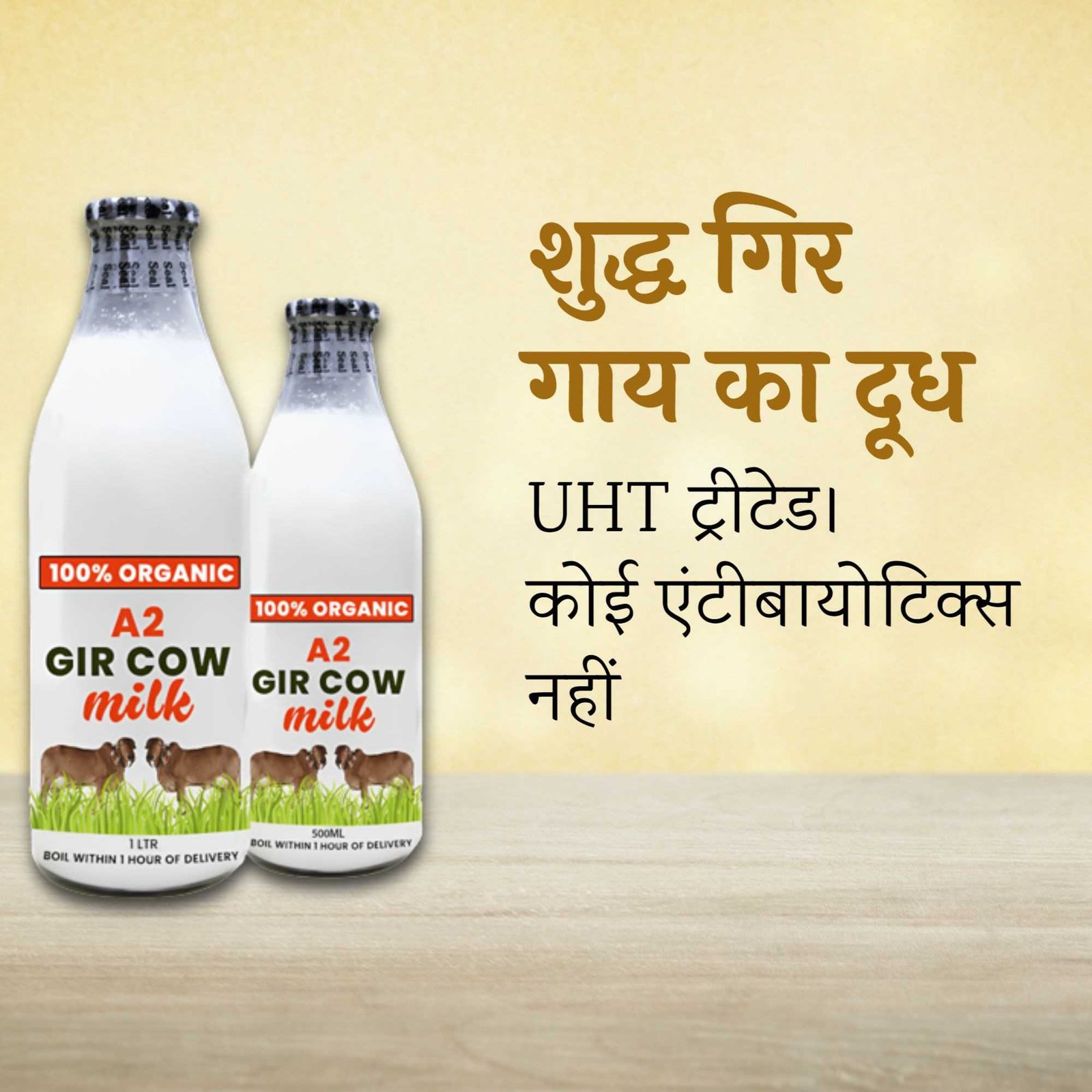 Dairy Shop & Milk पोस्टर 43