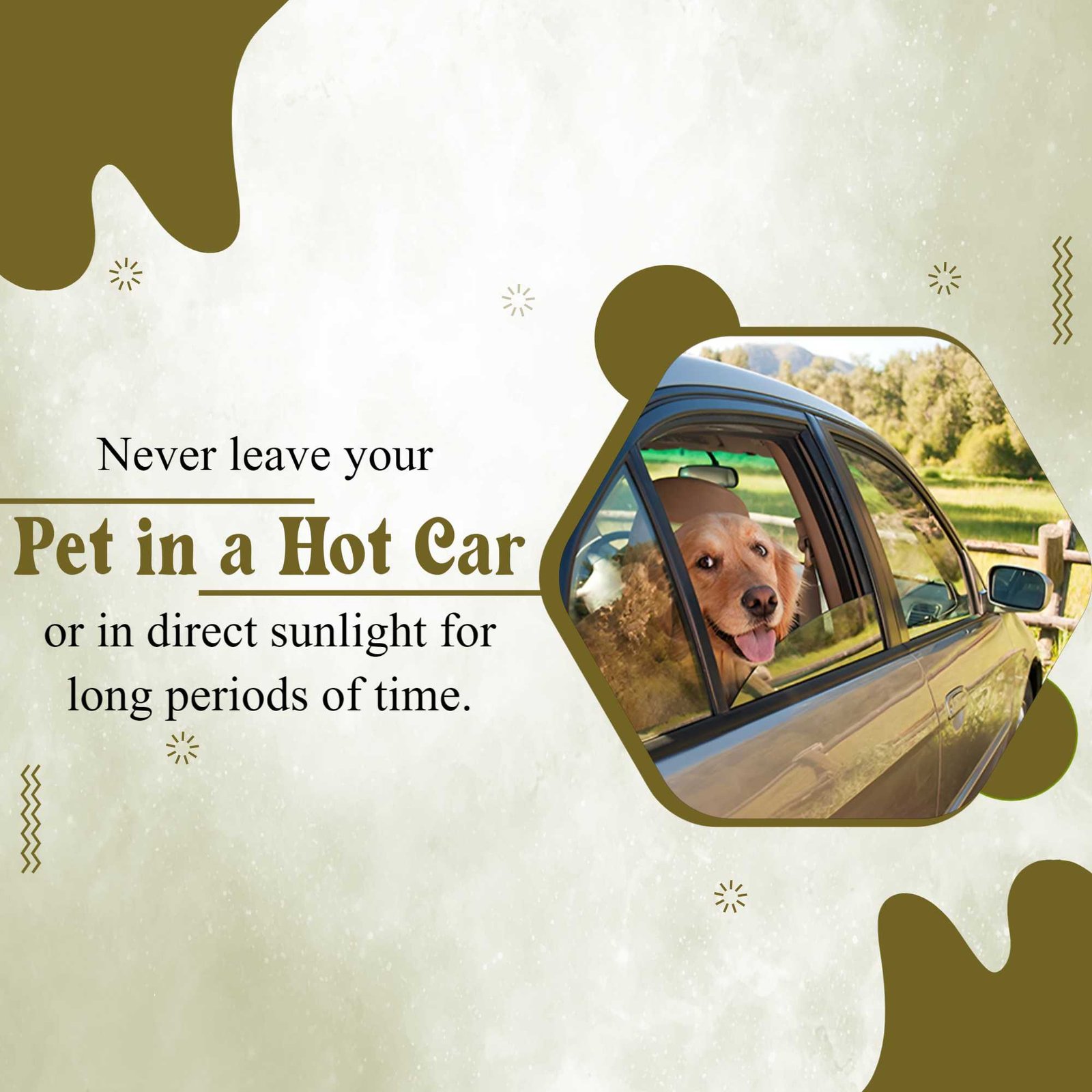 Pet Supplies And Services पोस्टर 88