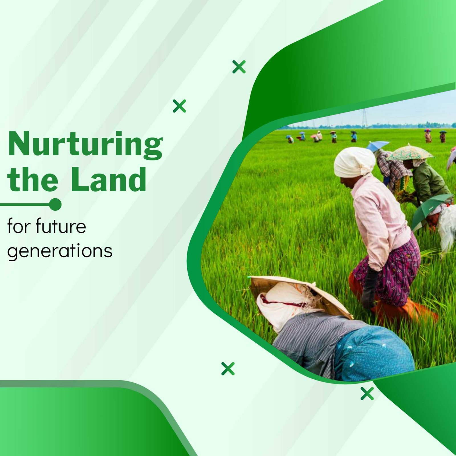Agriculture poster 307
