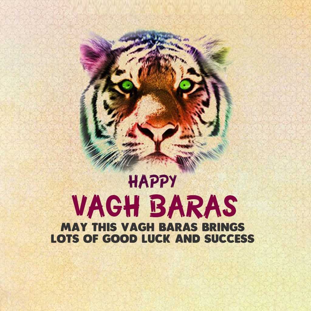 Vagh Baras पोस्टर 38