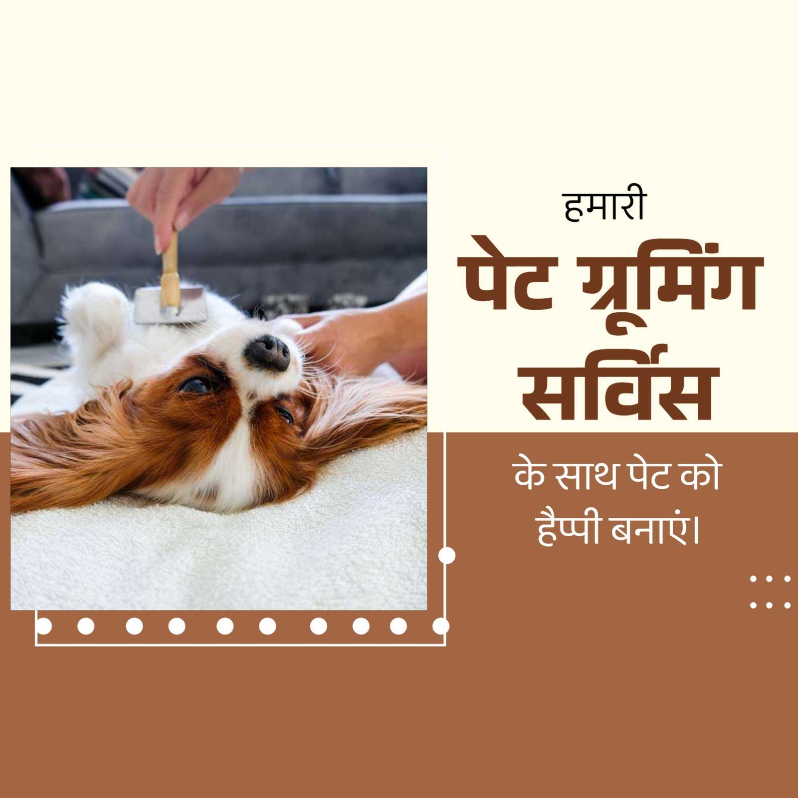 Pet Supplies And Services पोस्टर 100