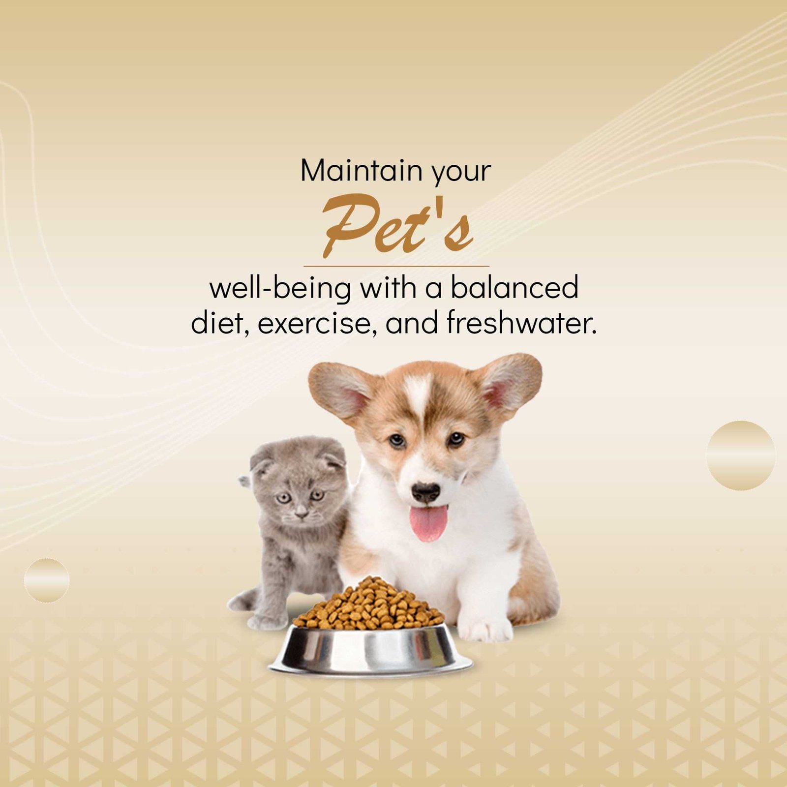 Pet Supplies And Services पोस्टर 85