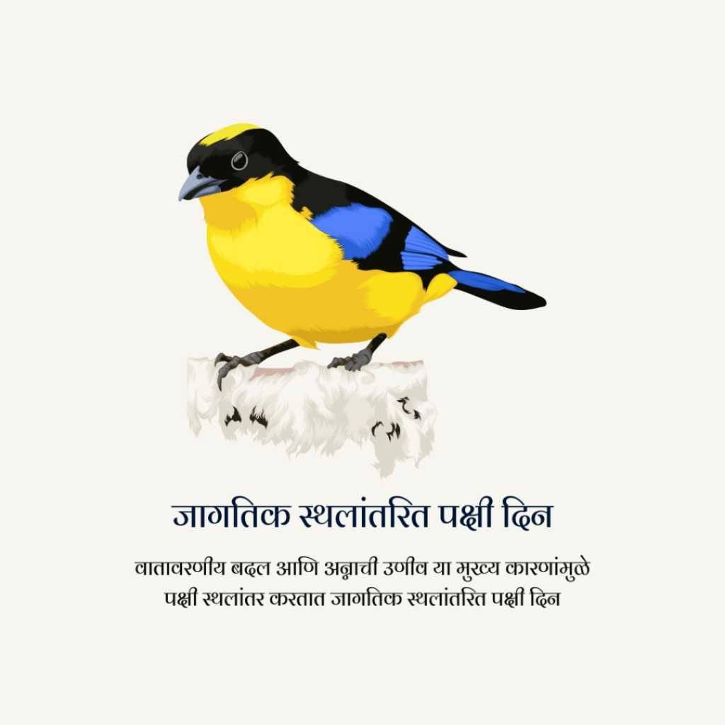 World Migratory Bird Day