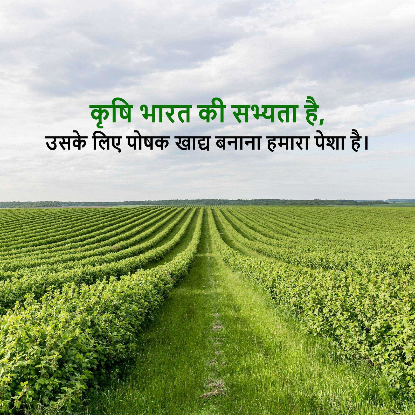 Agriculture पोस्टर 134