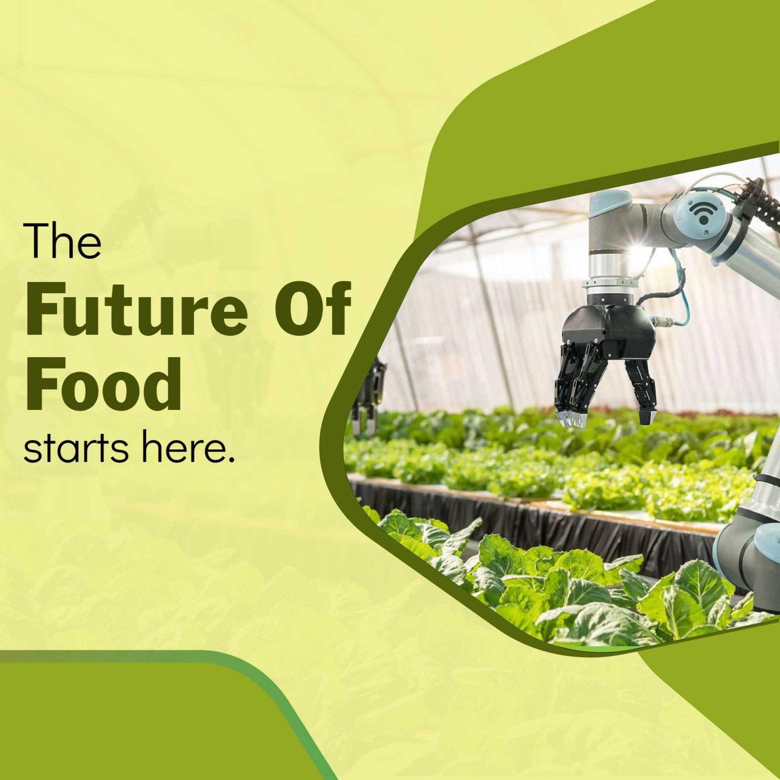 Agriculture poster 313