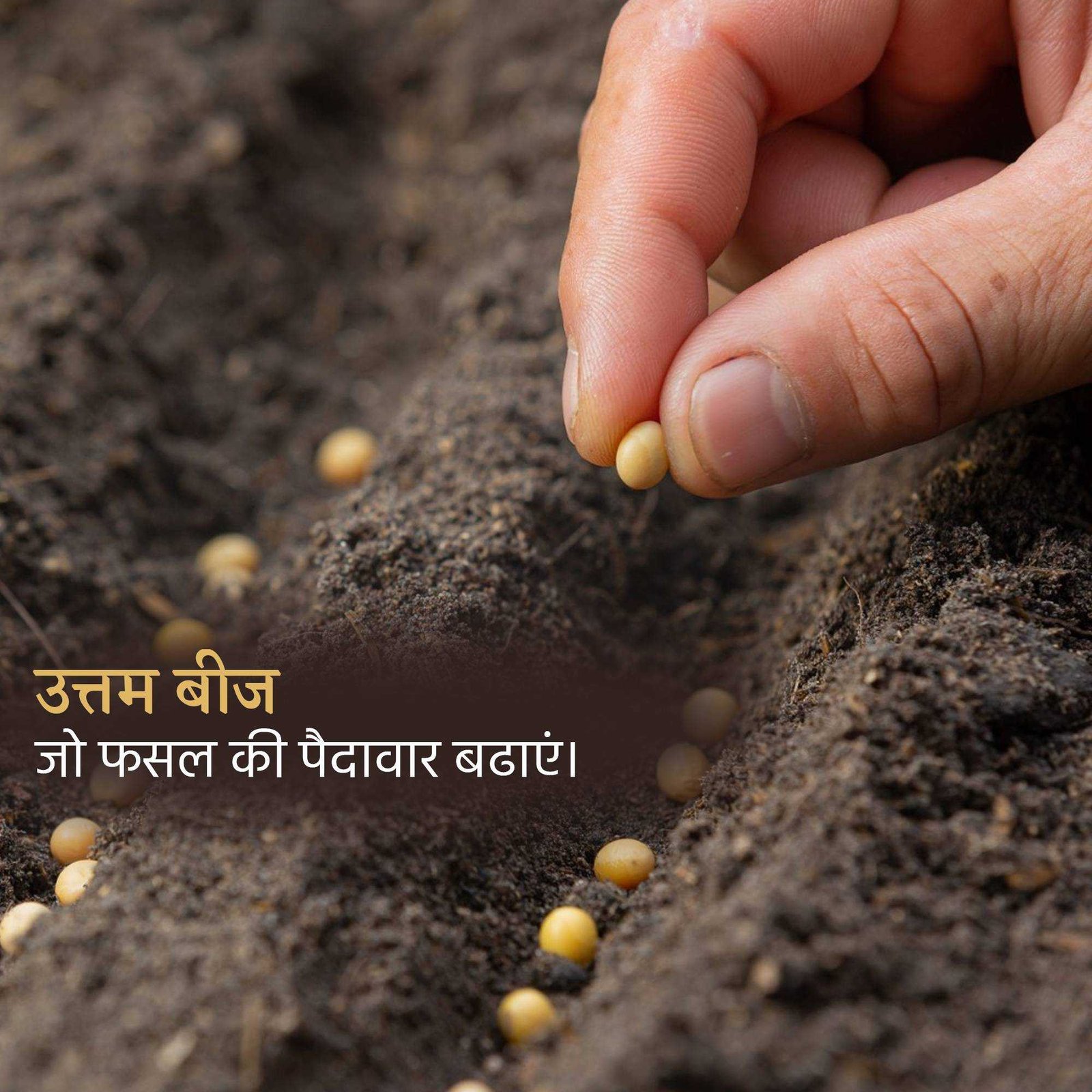 Agriculture poster 82