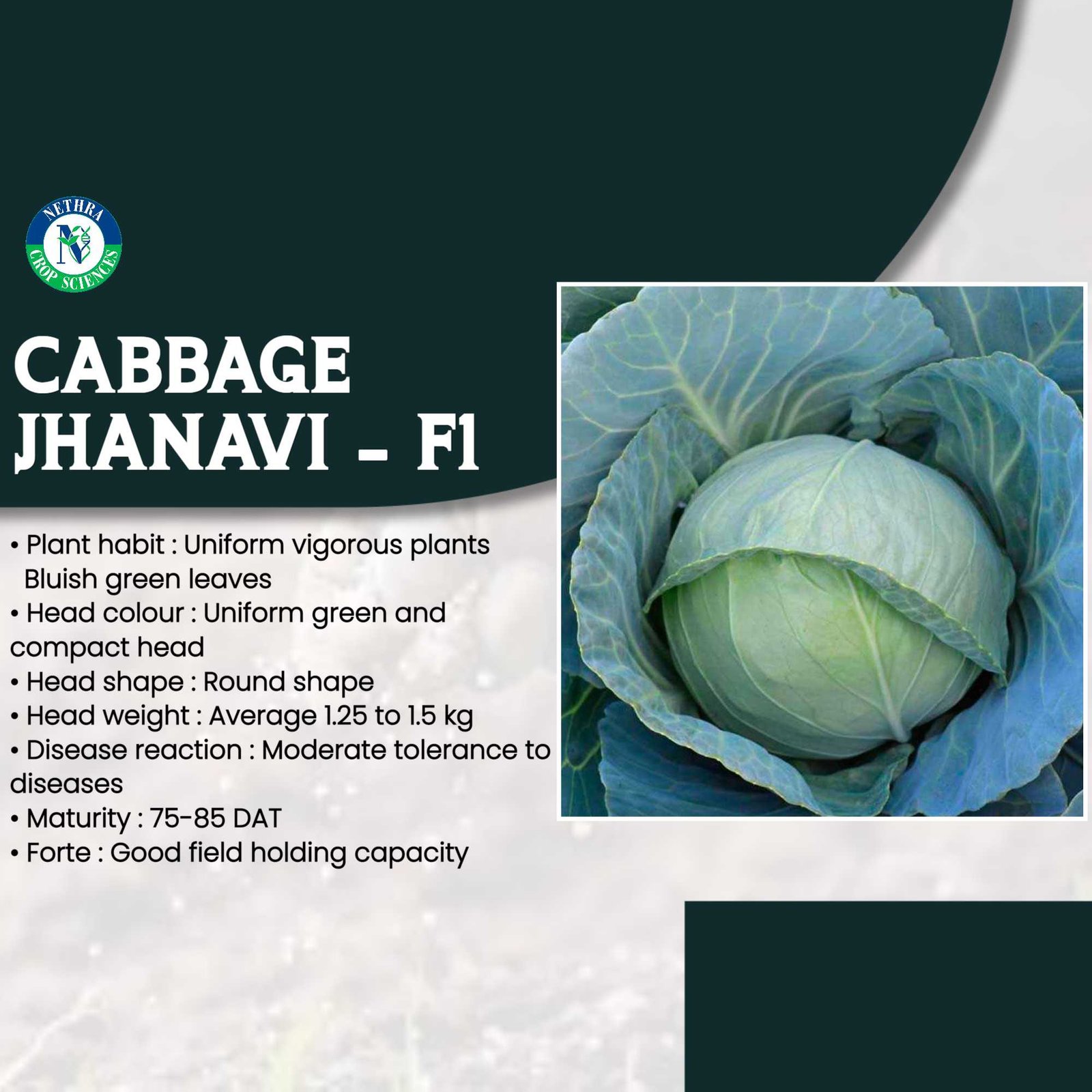 Agriculture poster 14