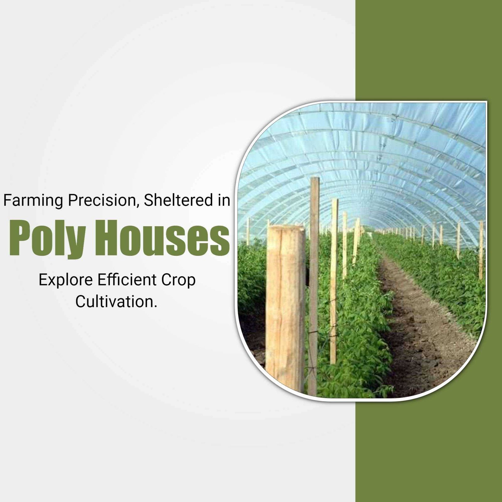 Agriculture poster 368