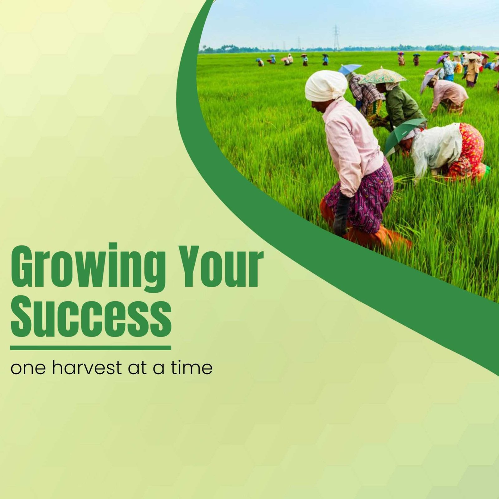 Agriculture poster 308