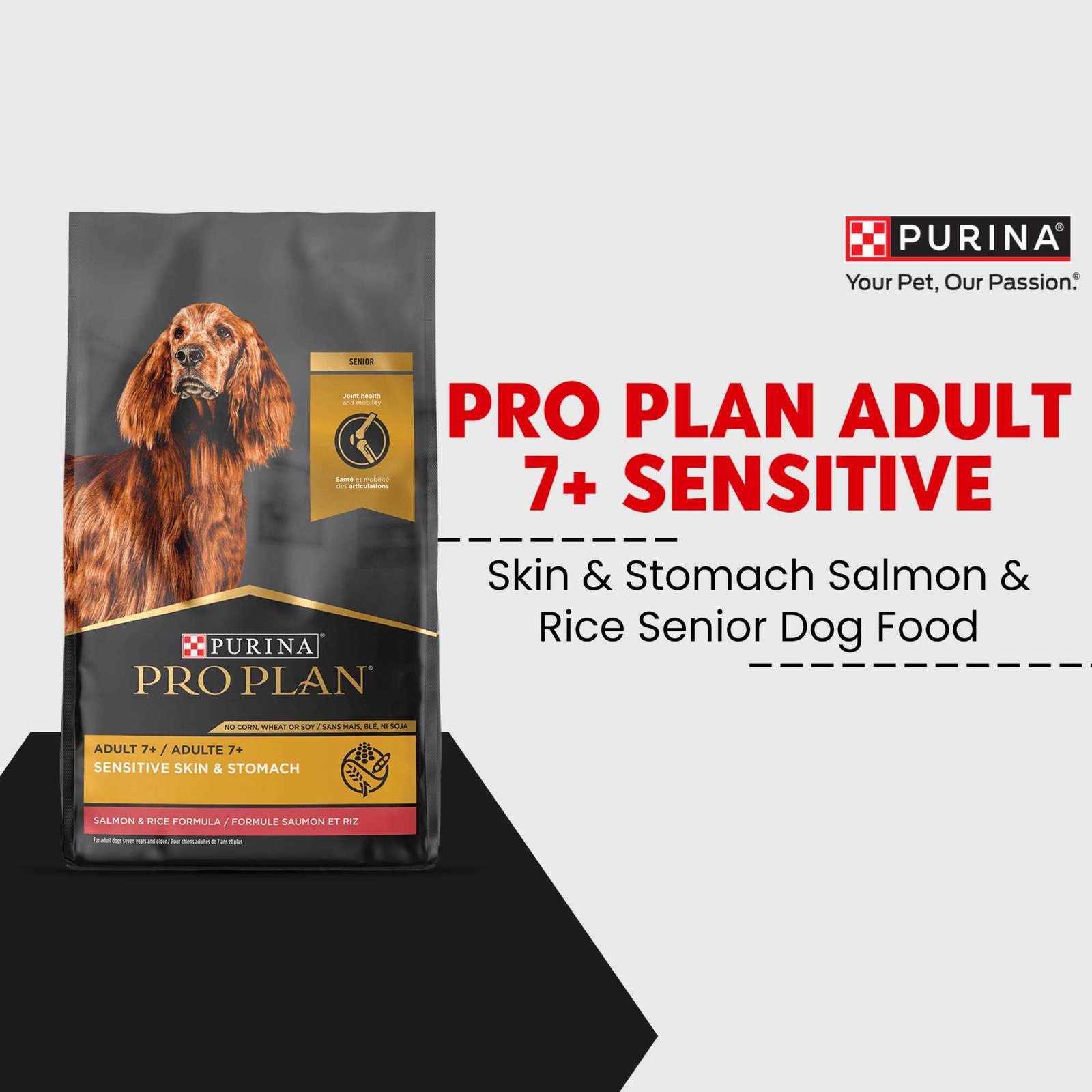 Pet Supplies And Services पोस्टर 56