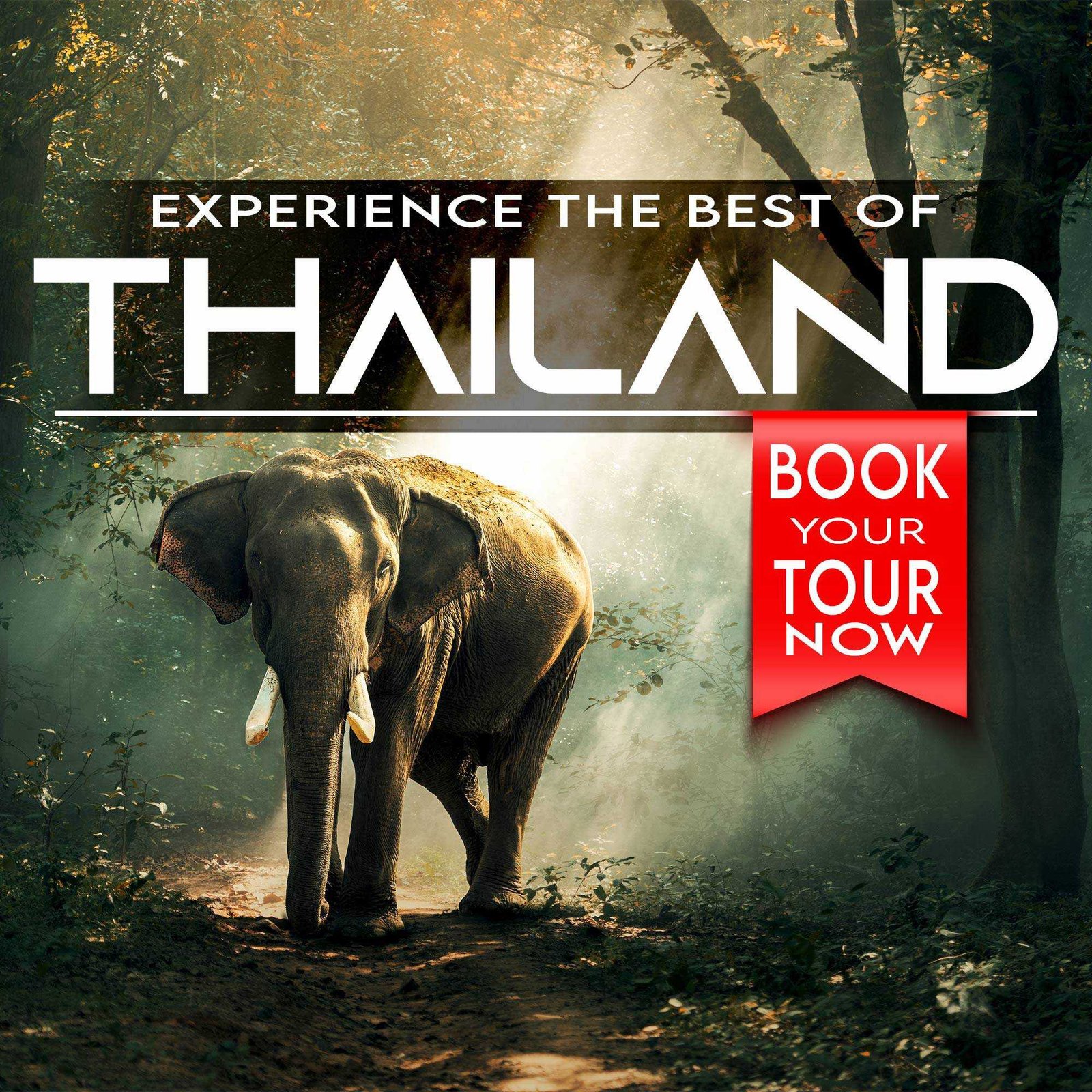 Tours And Travels poster 185