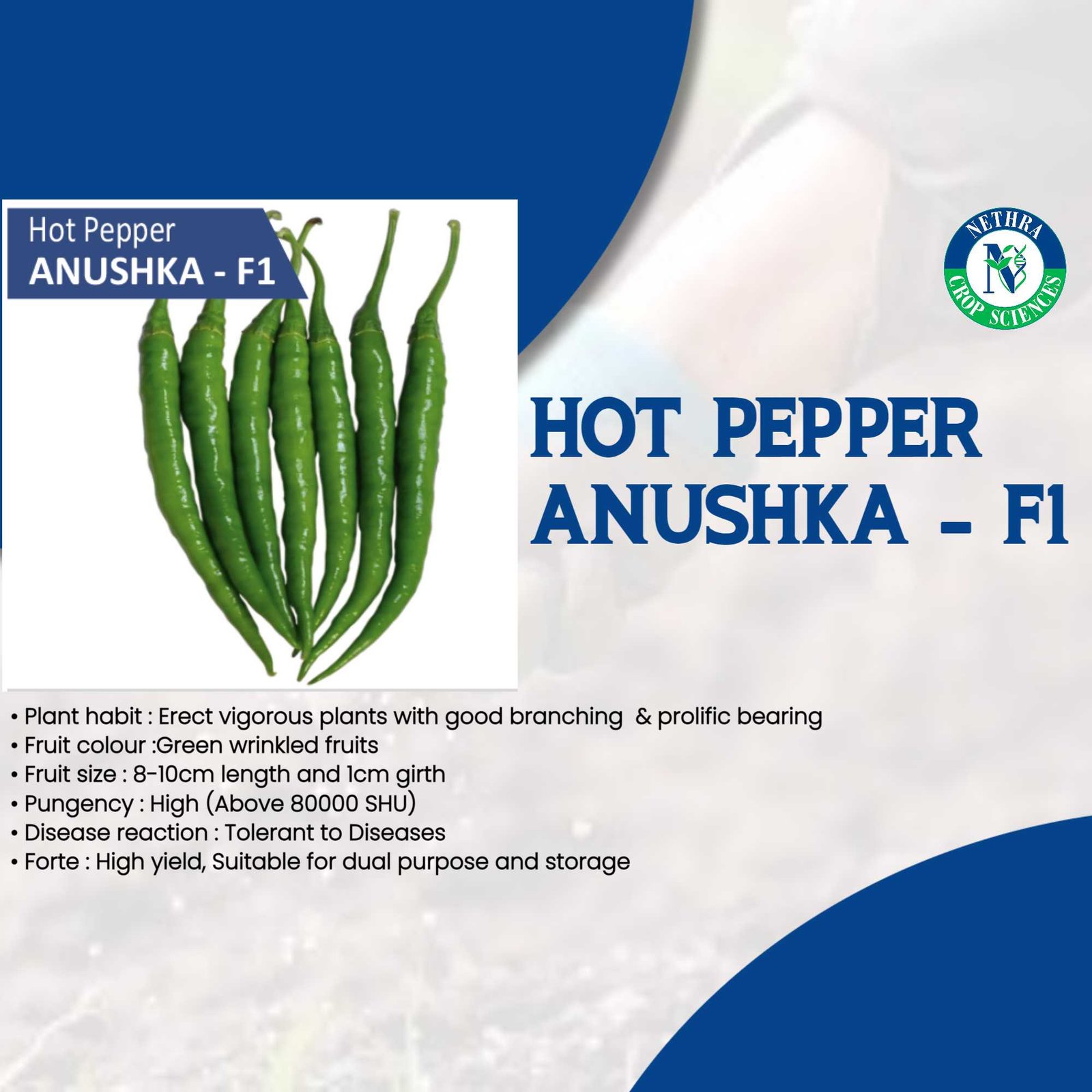 Agriculture poster 86