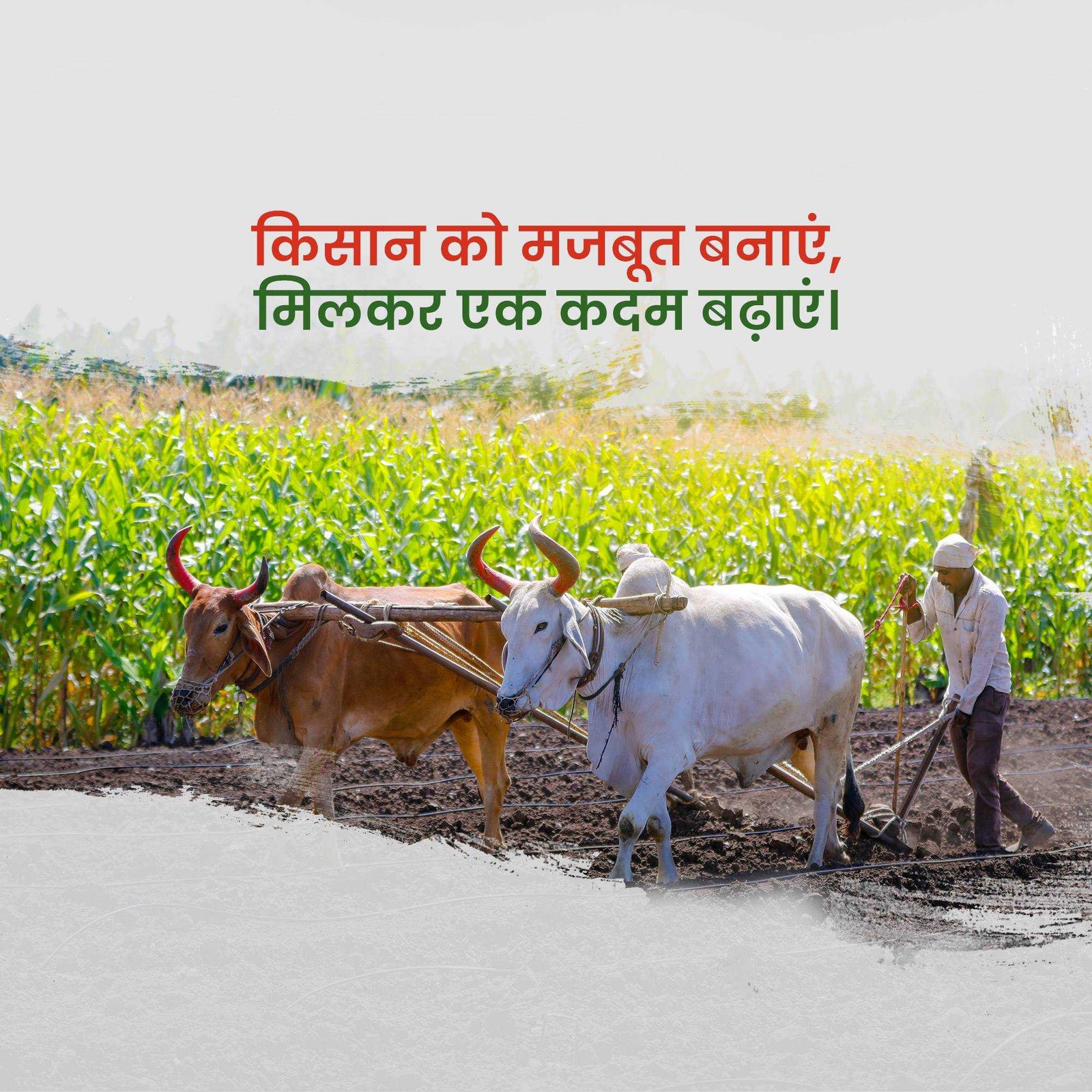 Agriculture poster 344