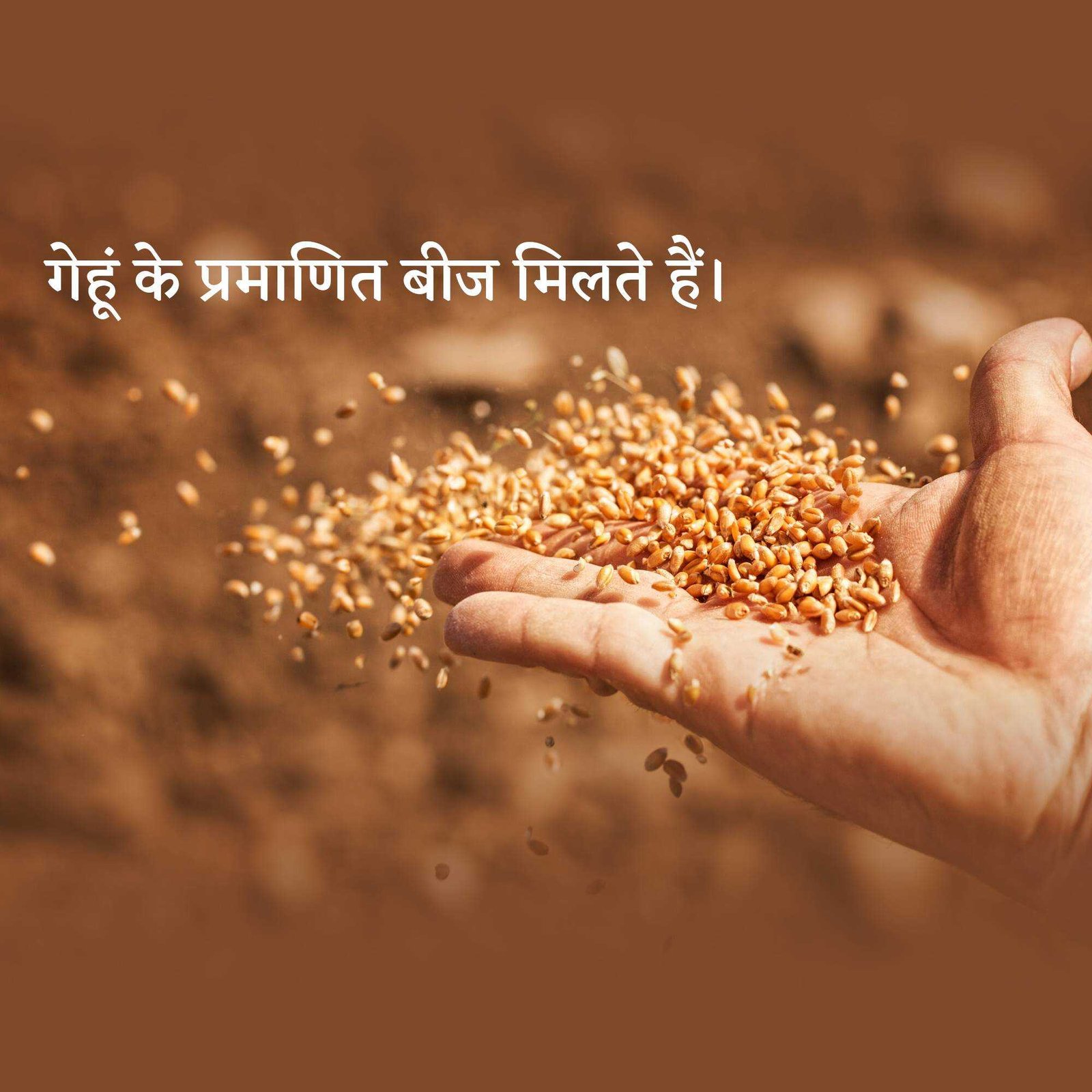 Agriculture poster 84