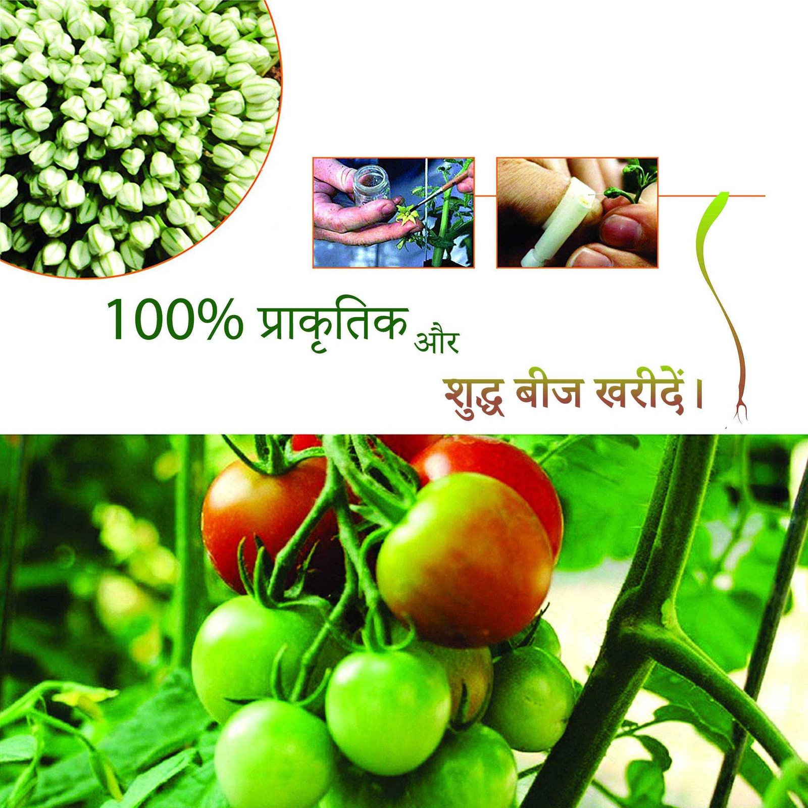 Agriculture poster 81