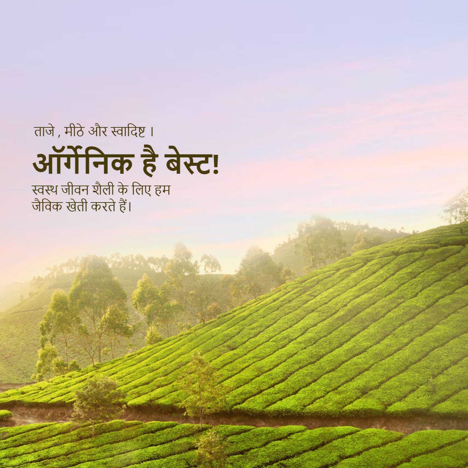 Agriculture पोस्टर 178