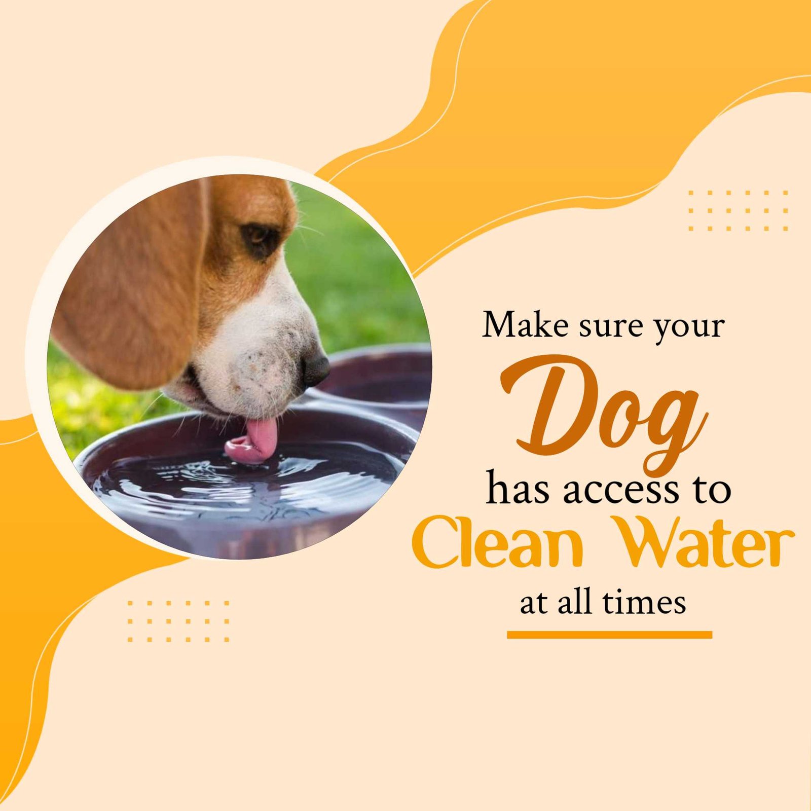 Pet Supplies And Services पोस्टर 90