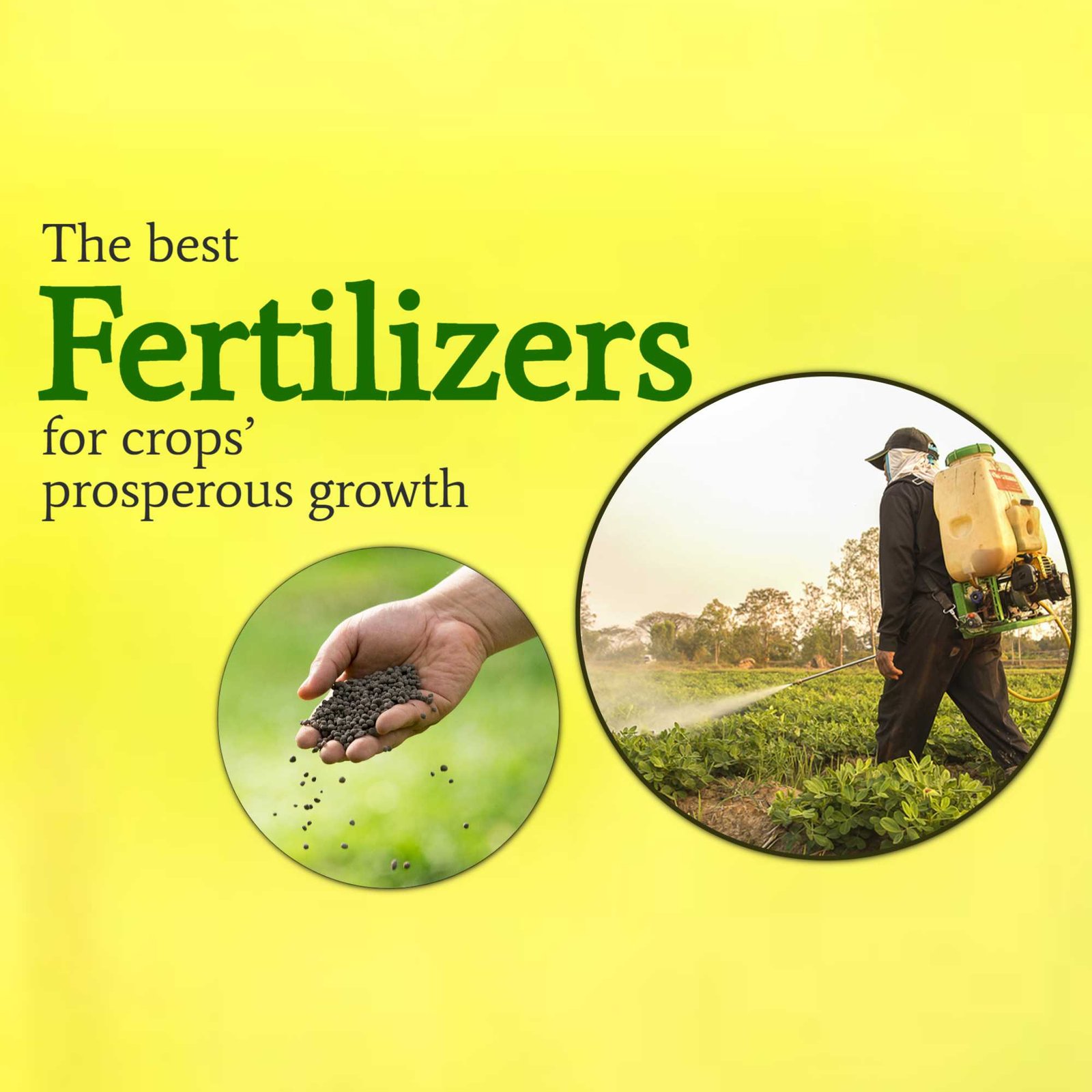 Agriculture poster 436