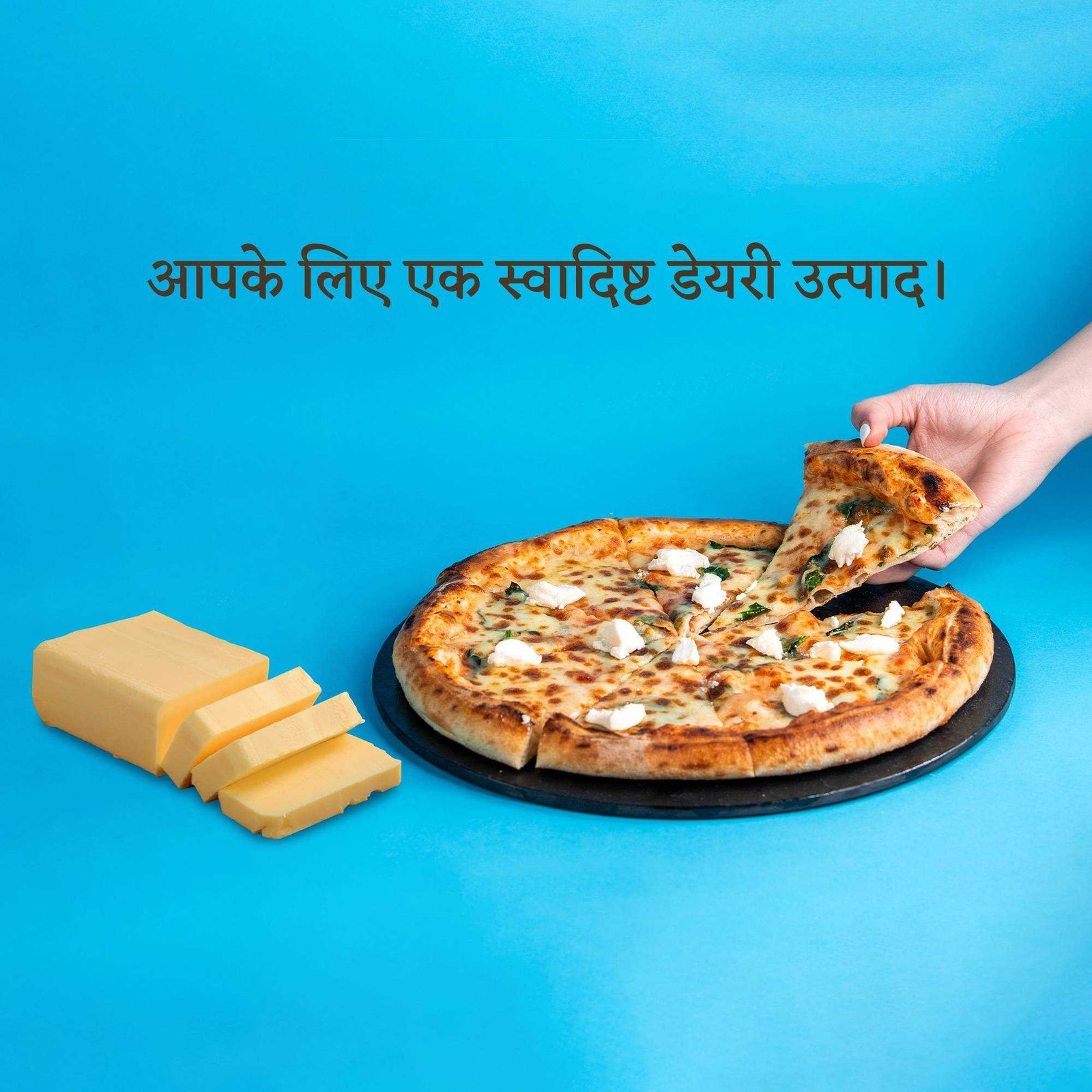 Dairy Shop & Milk poster 221