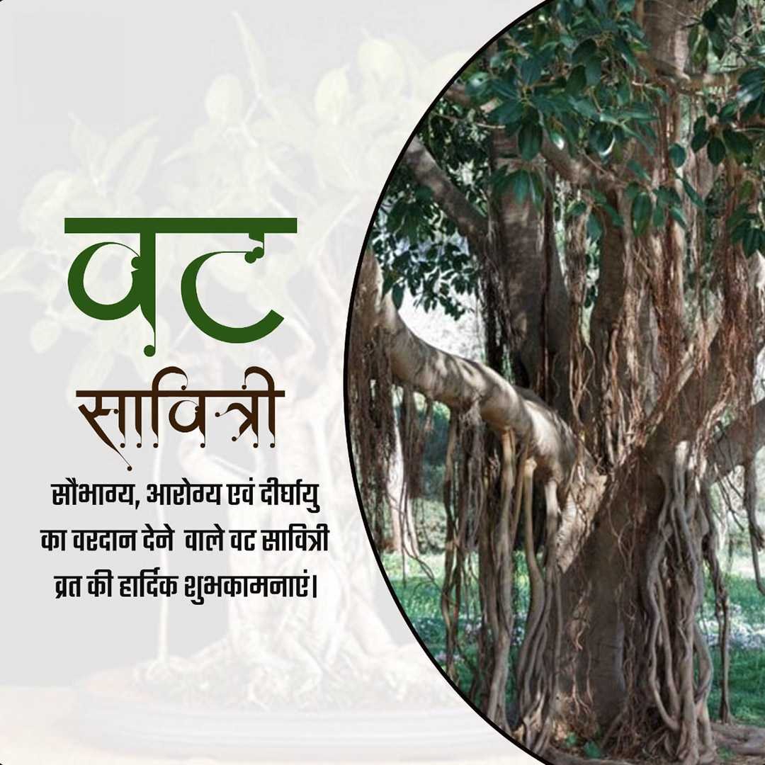 Vat Savitri Puja ( Vat Purnima ) poster 70