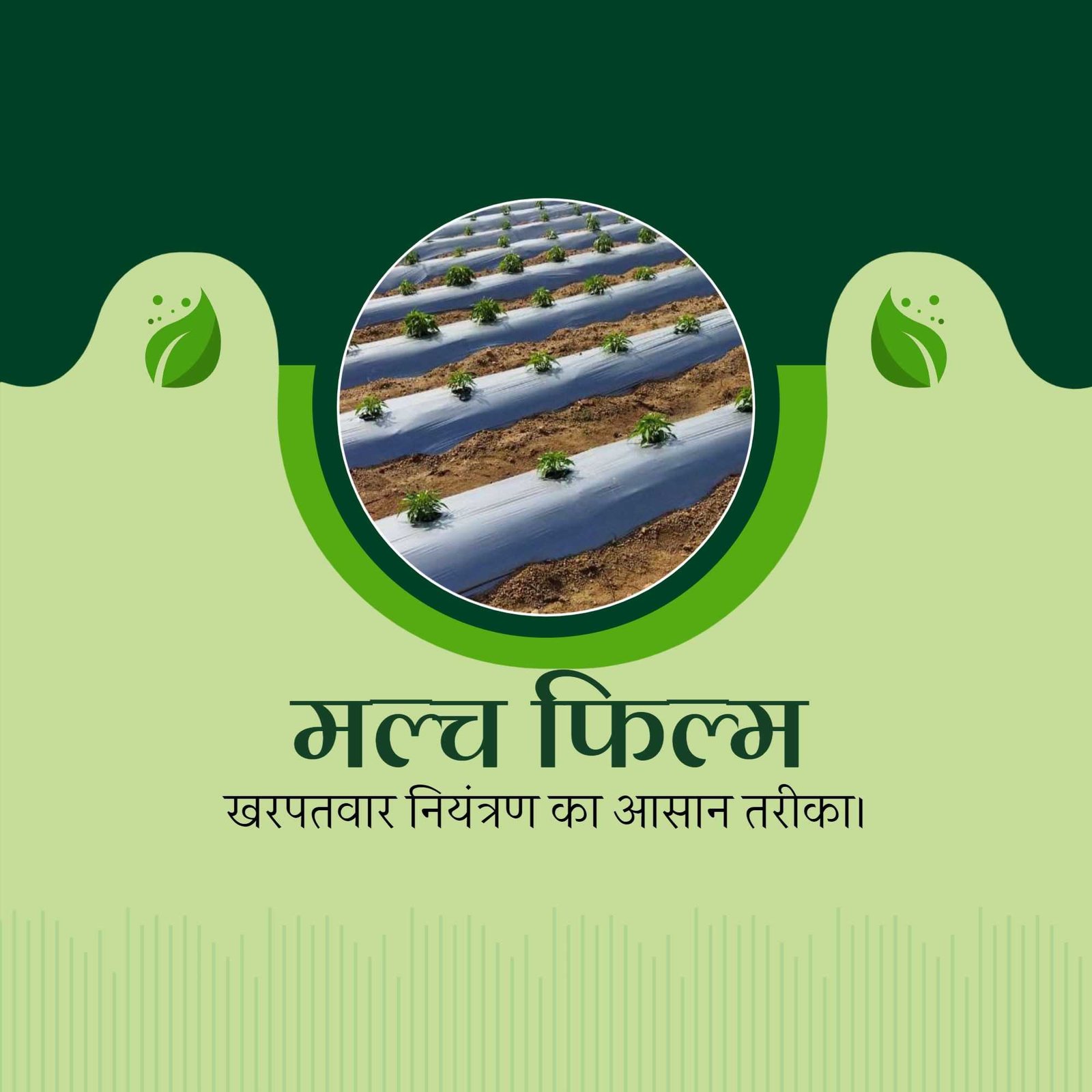Agriculture poster 328