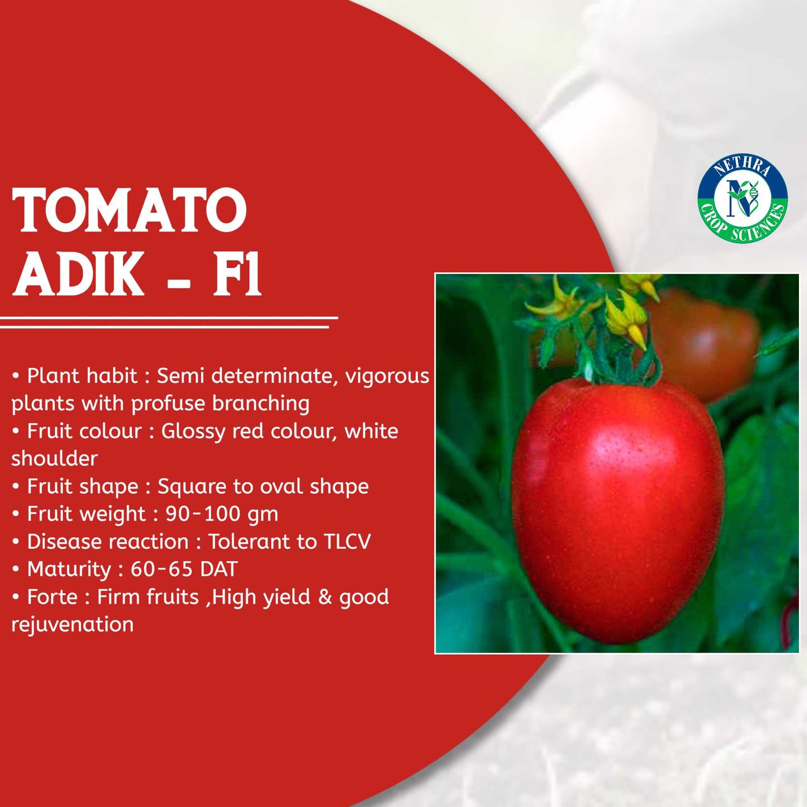 Agriculture poster 19