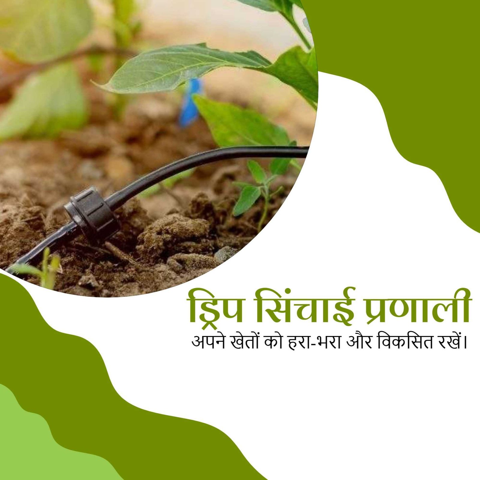 Agriculture poster 472