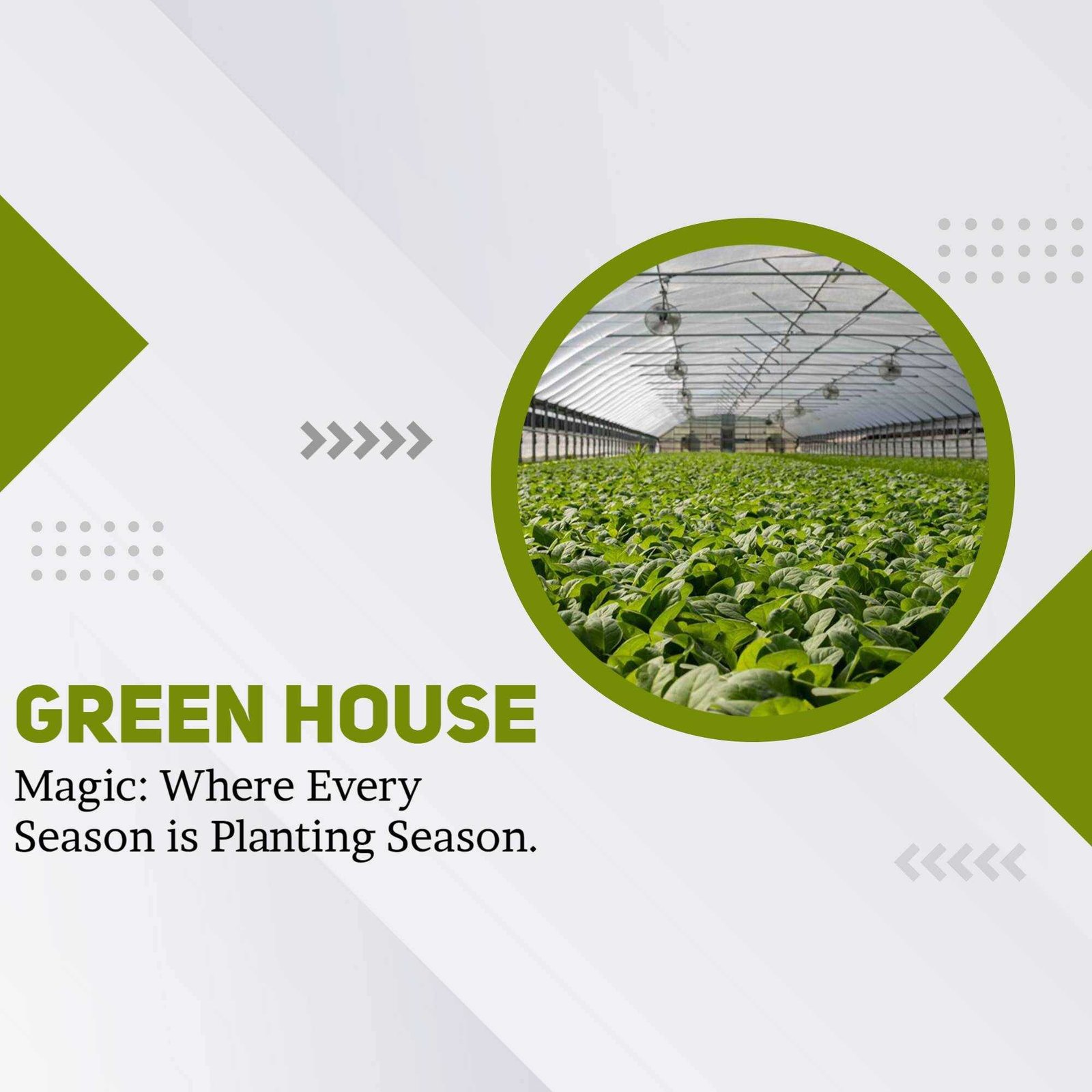 Agriculture poster 347