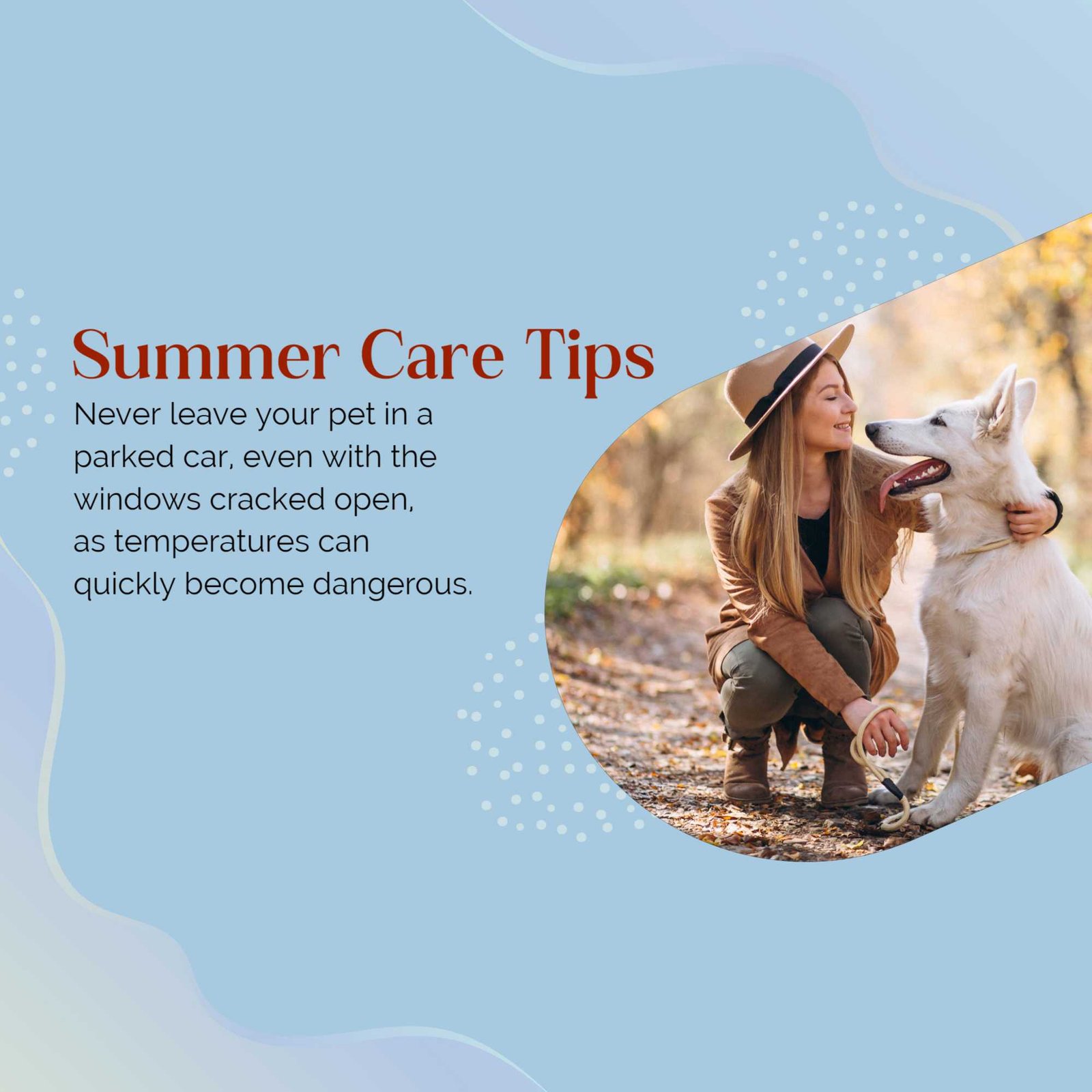 Pet Supplies And Services पोस्टर 95