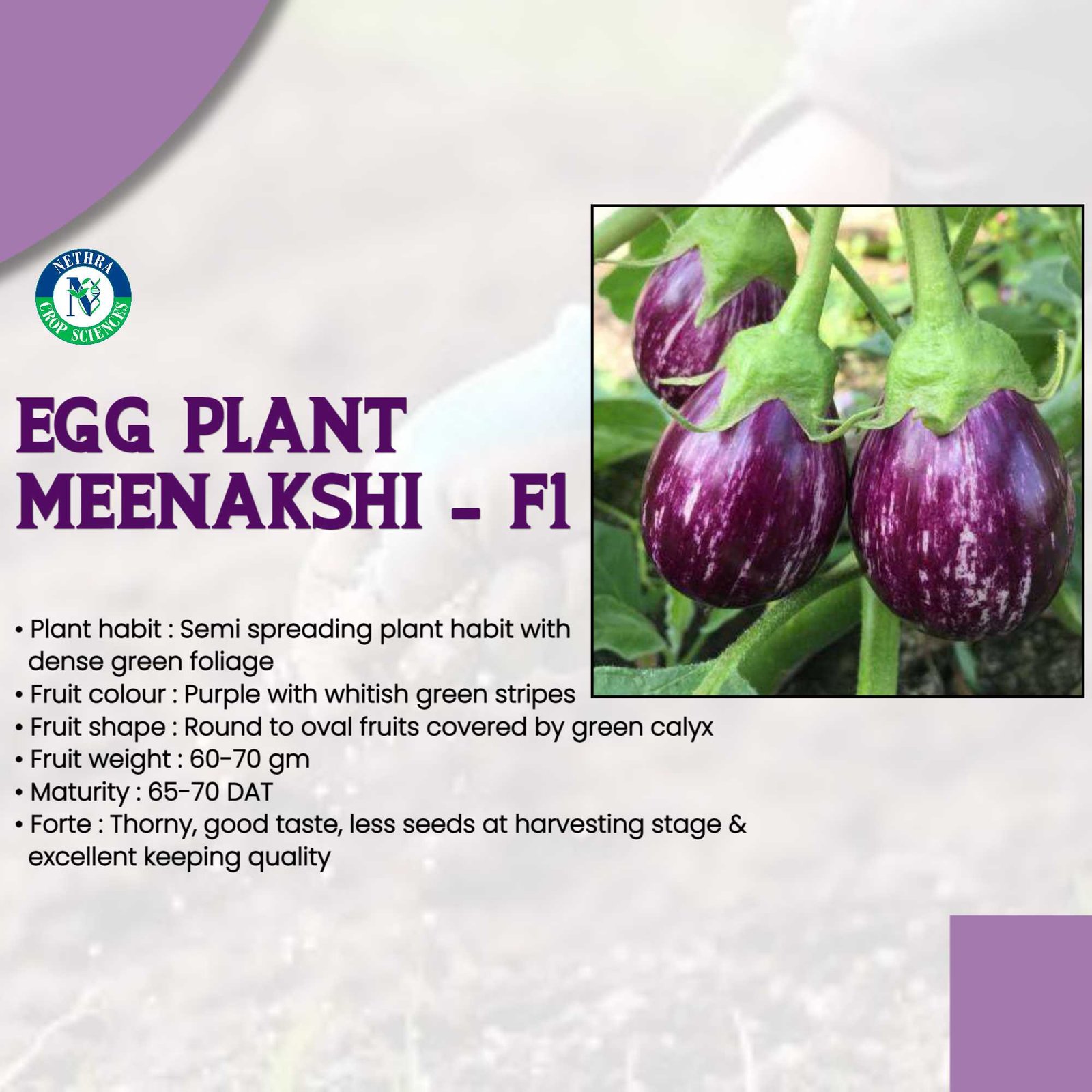 Agriculture poster 15
