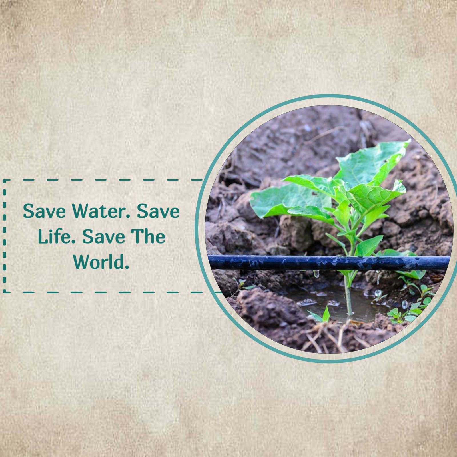 Agriculture poster 480